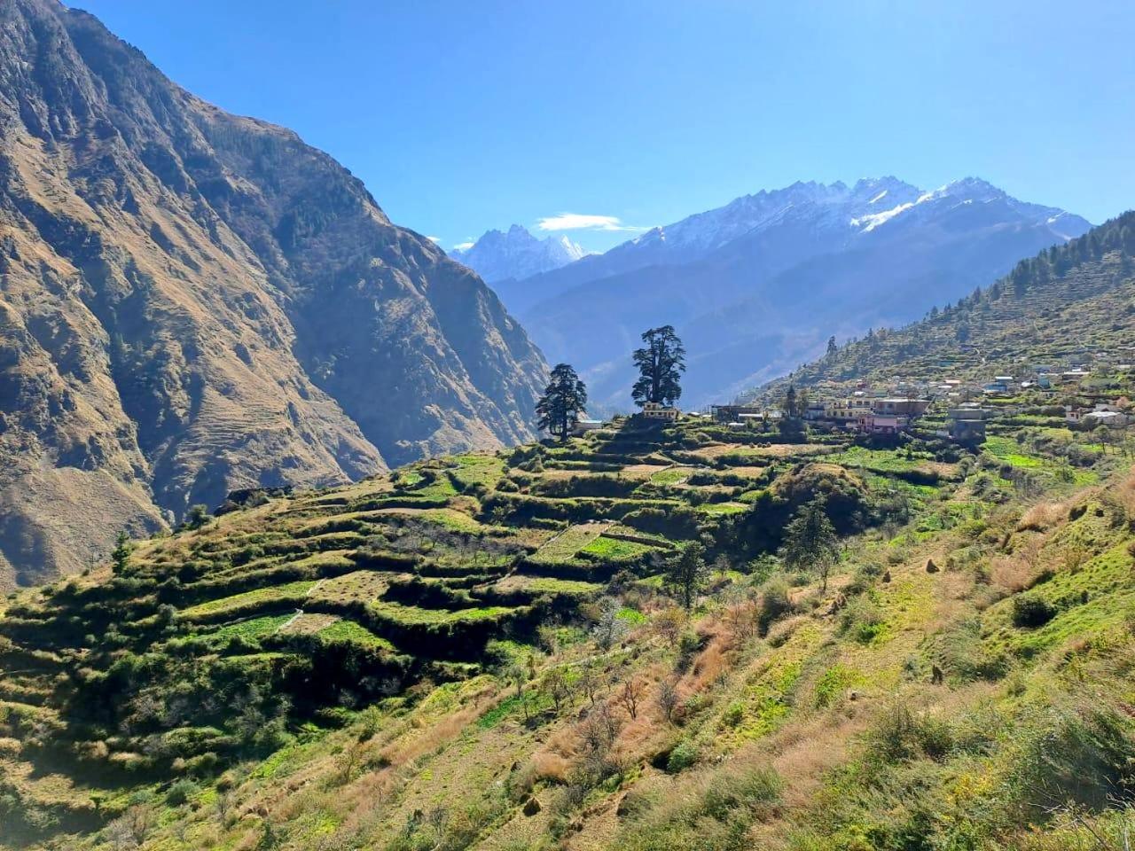 The RAGA Retreats