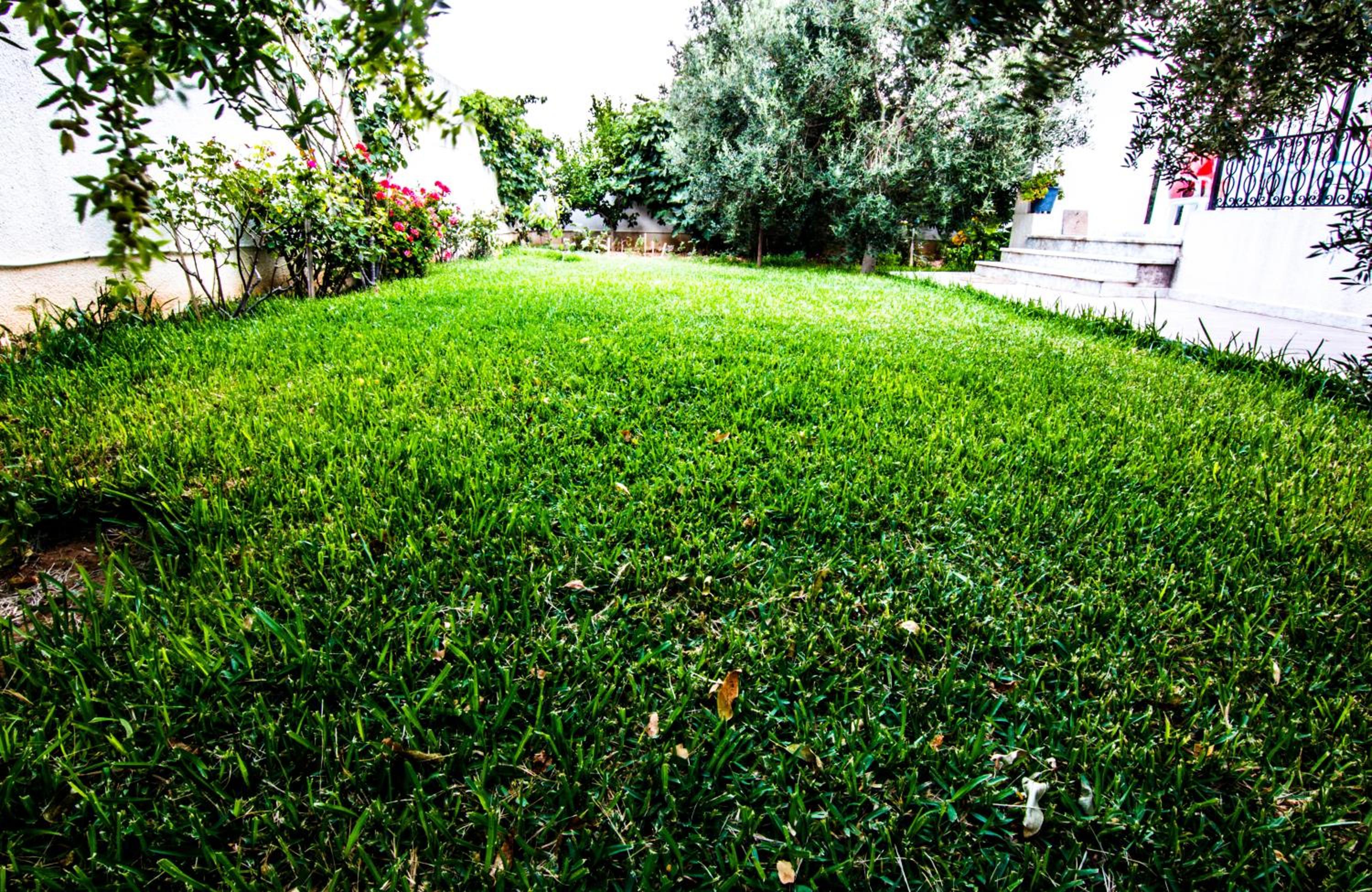 Mahdia Place Apartments