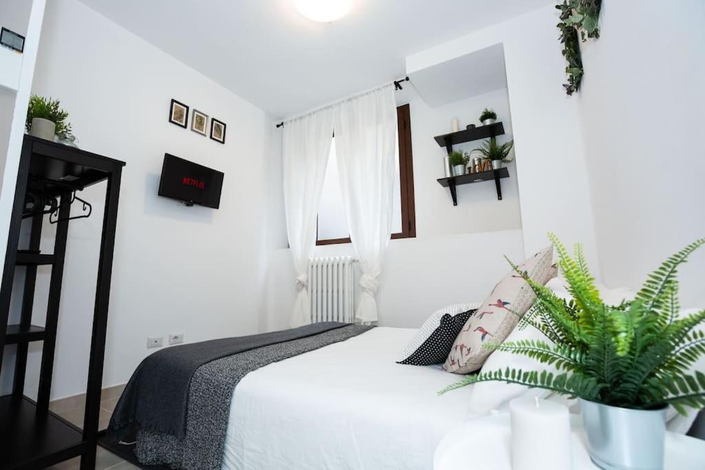 Apartment Paruta 65 - Teti
