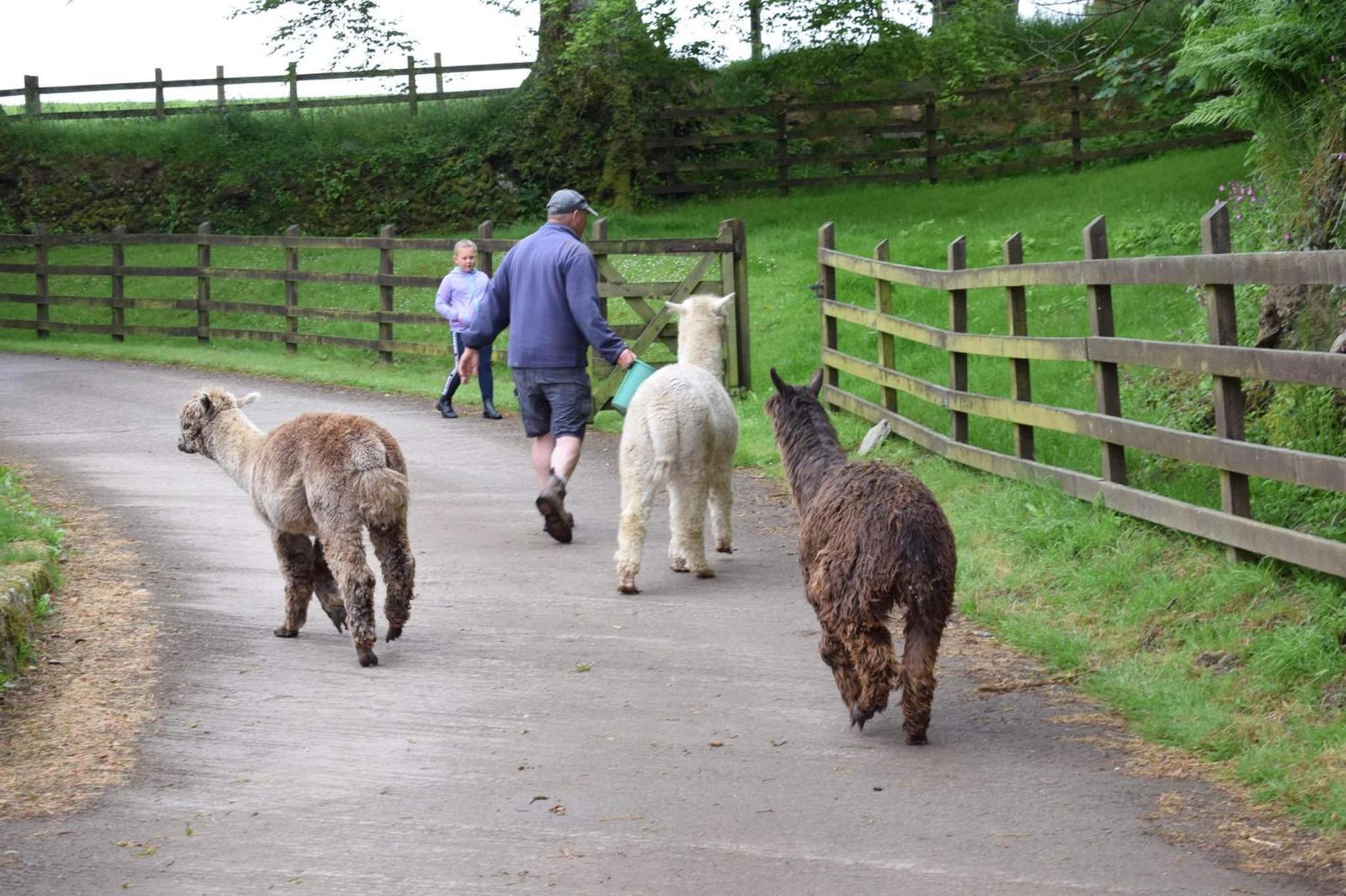 Fentrigan Manor Farm & Holiday Cottages