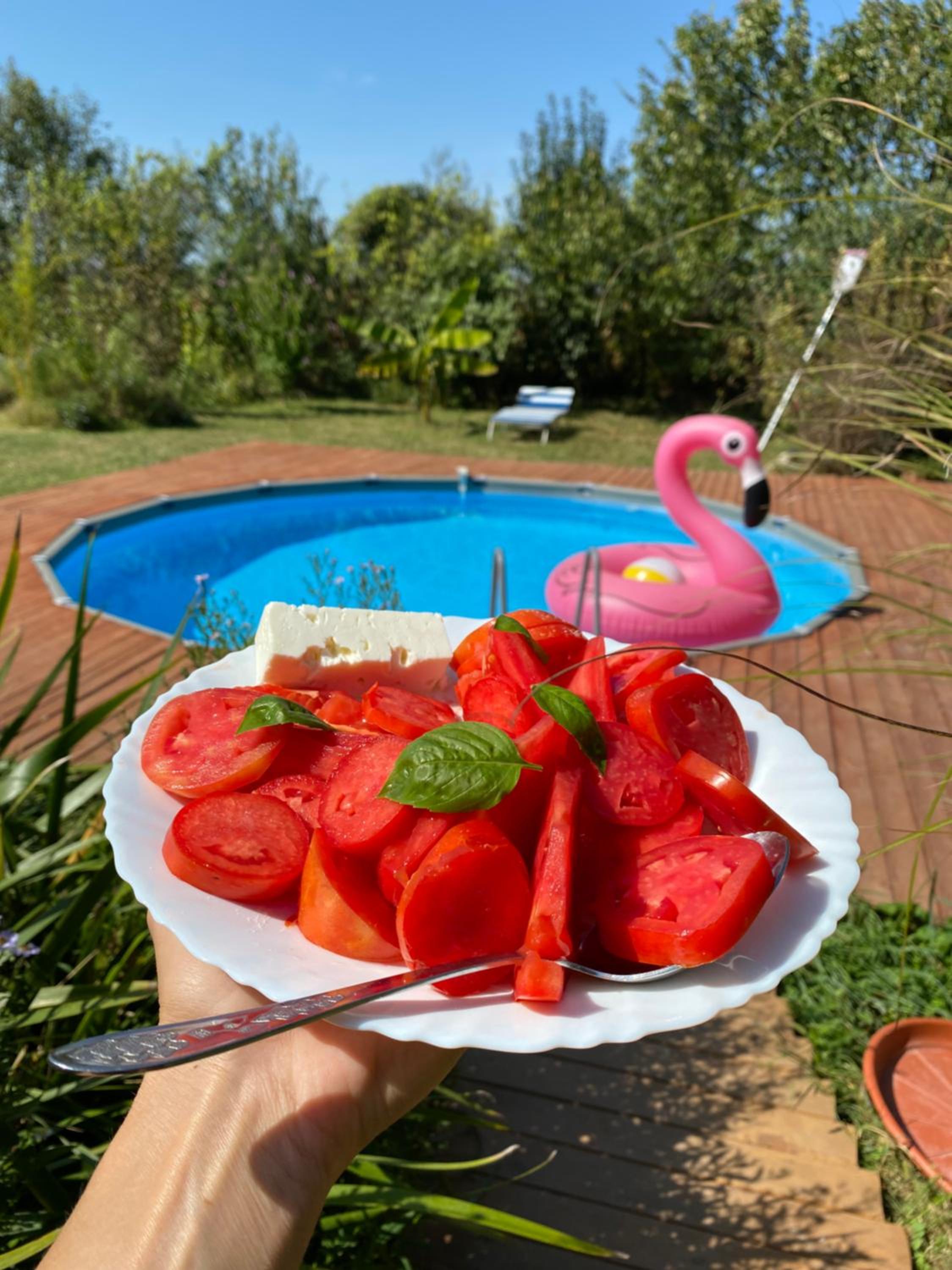 Morava Garden - Village Tourism