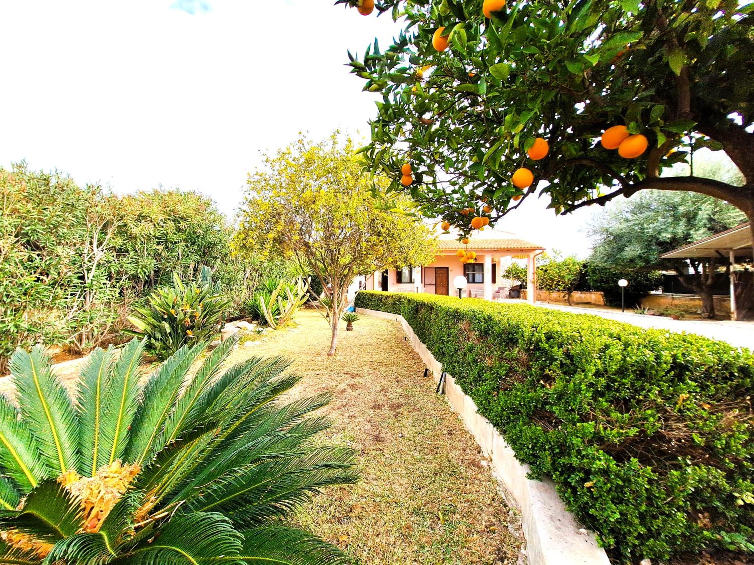 Villa del Mandorlo view 3