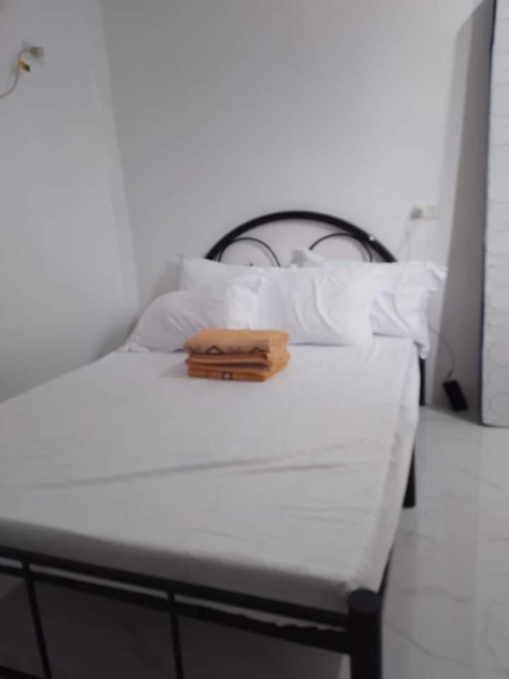 NELU GUEST HOUSE view 2