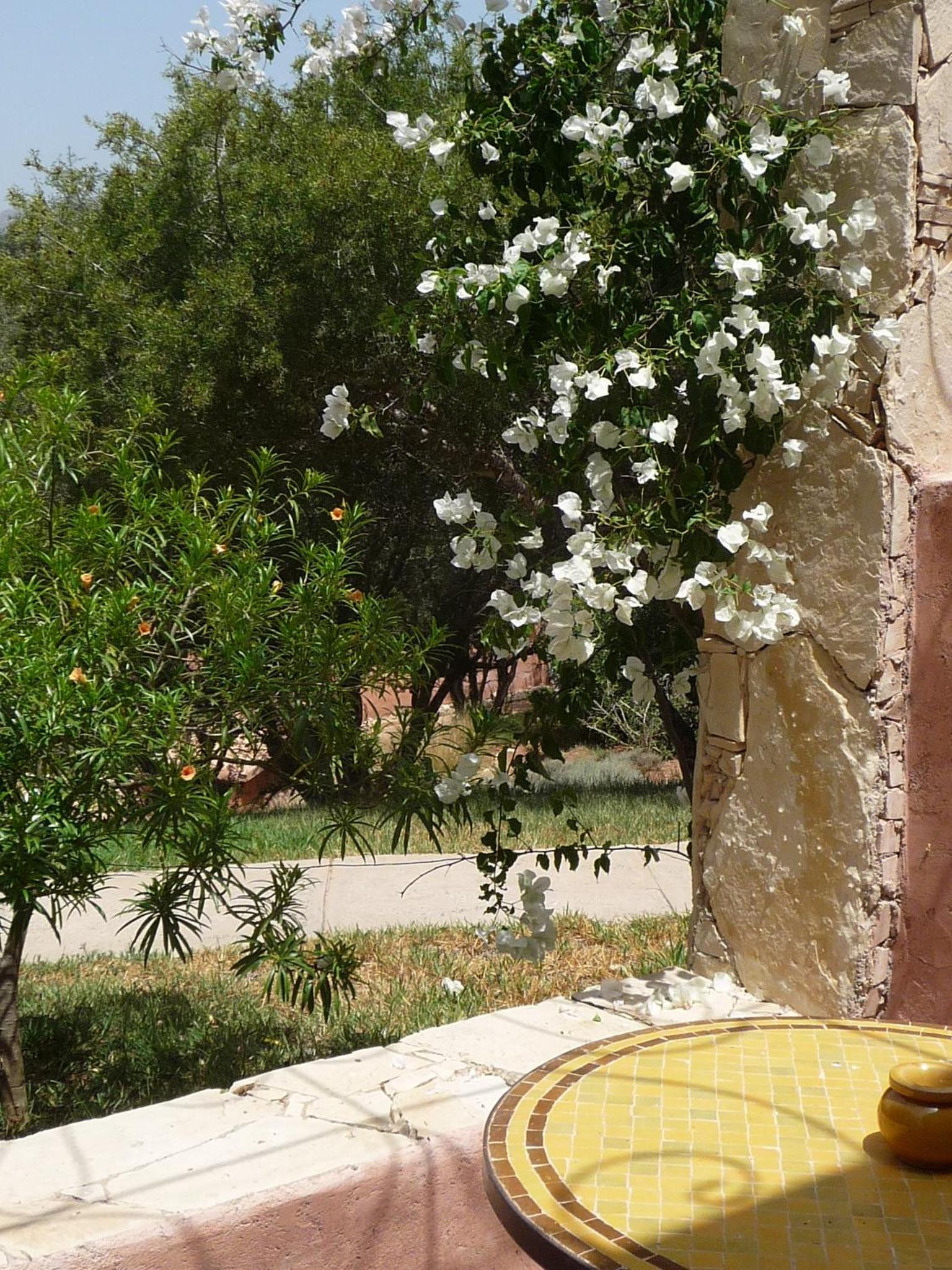Paradis Nomade