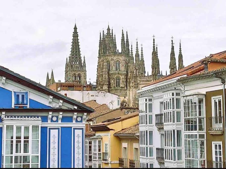 Los Magnolios de Laín Calvo