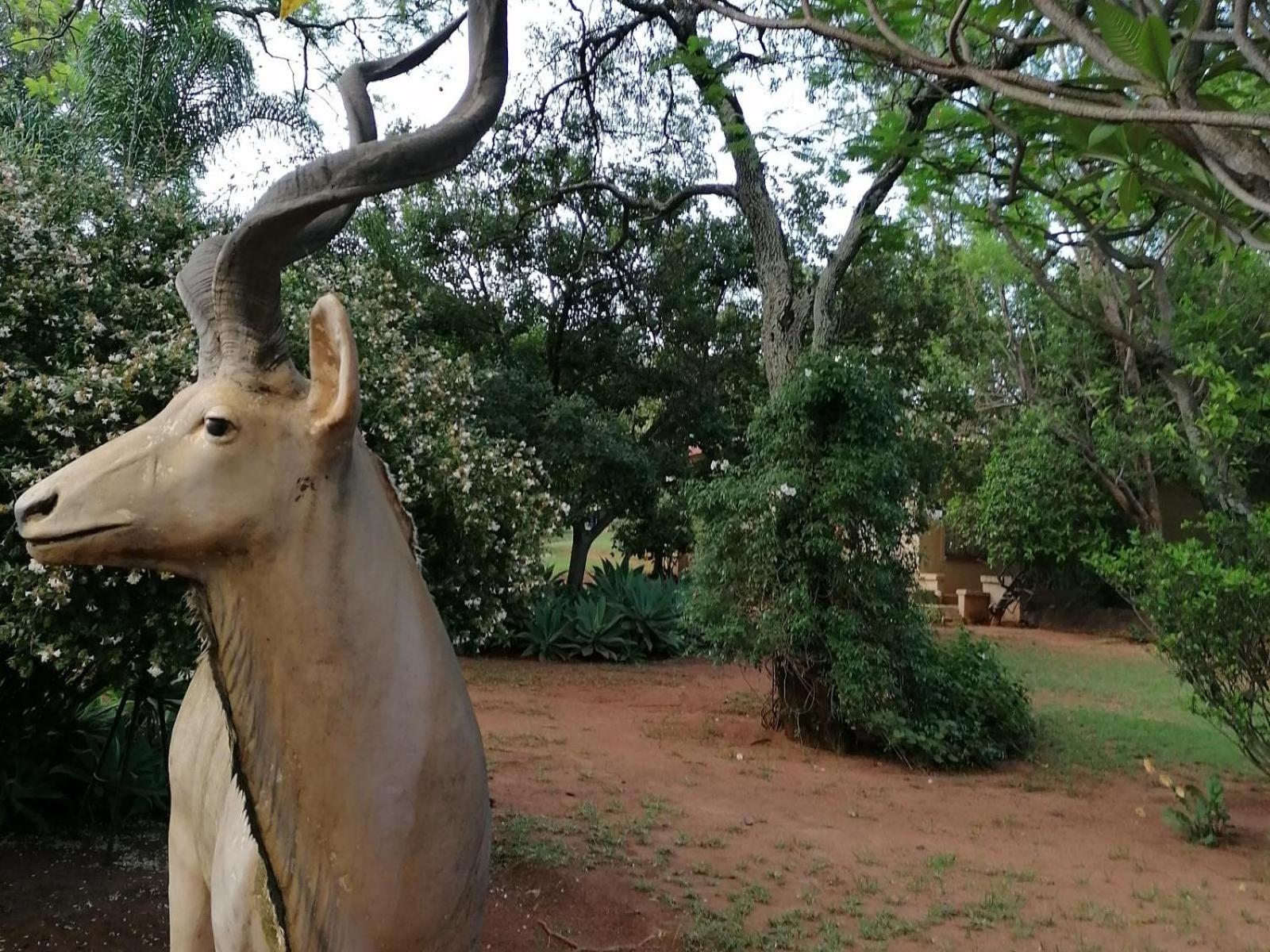 Kettle Guest Lodge Rustenburg