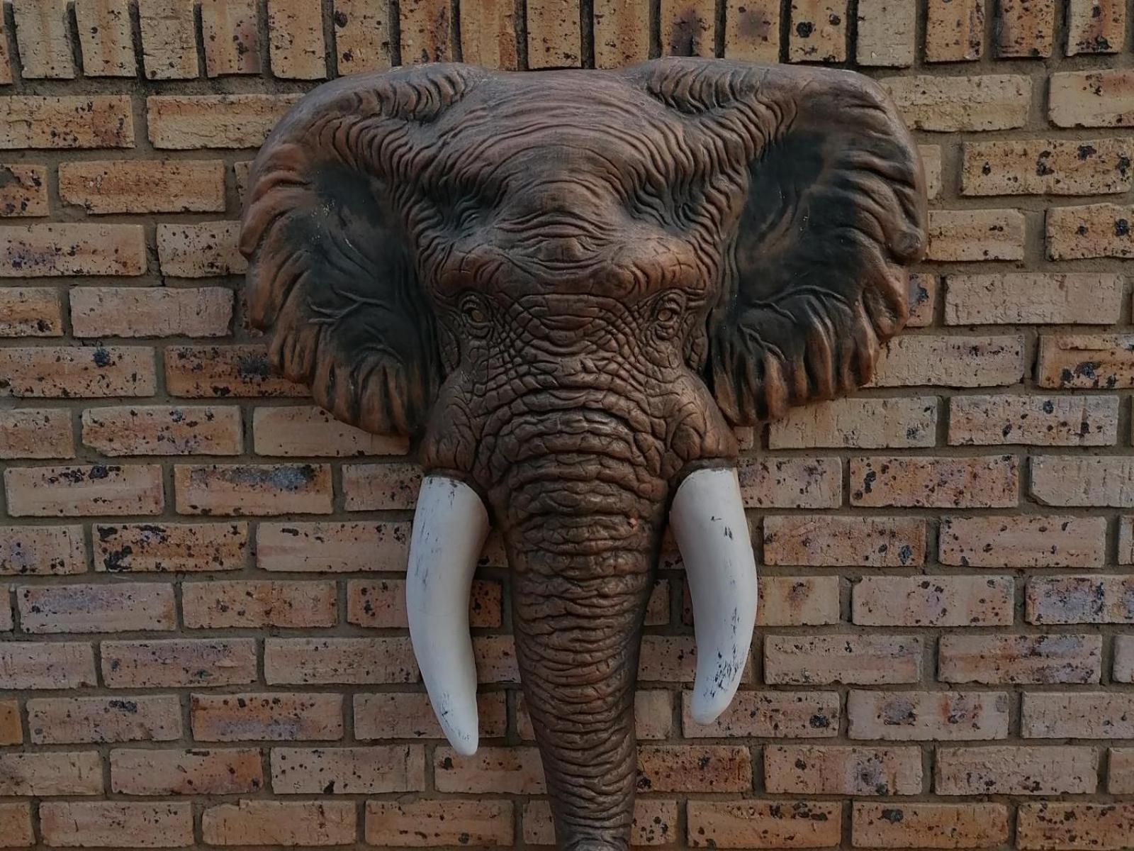 Kettle Guest Lodge Rustenburg