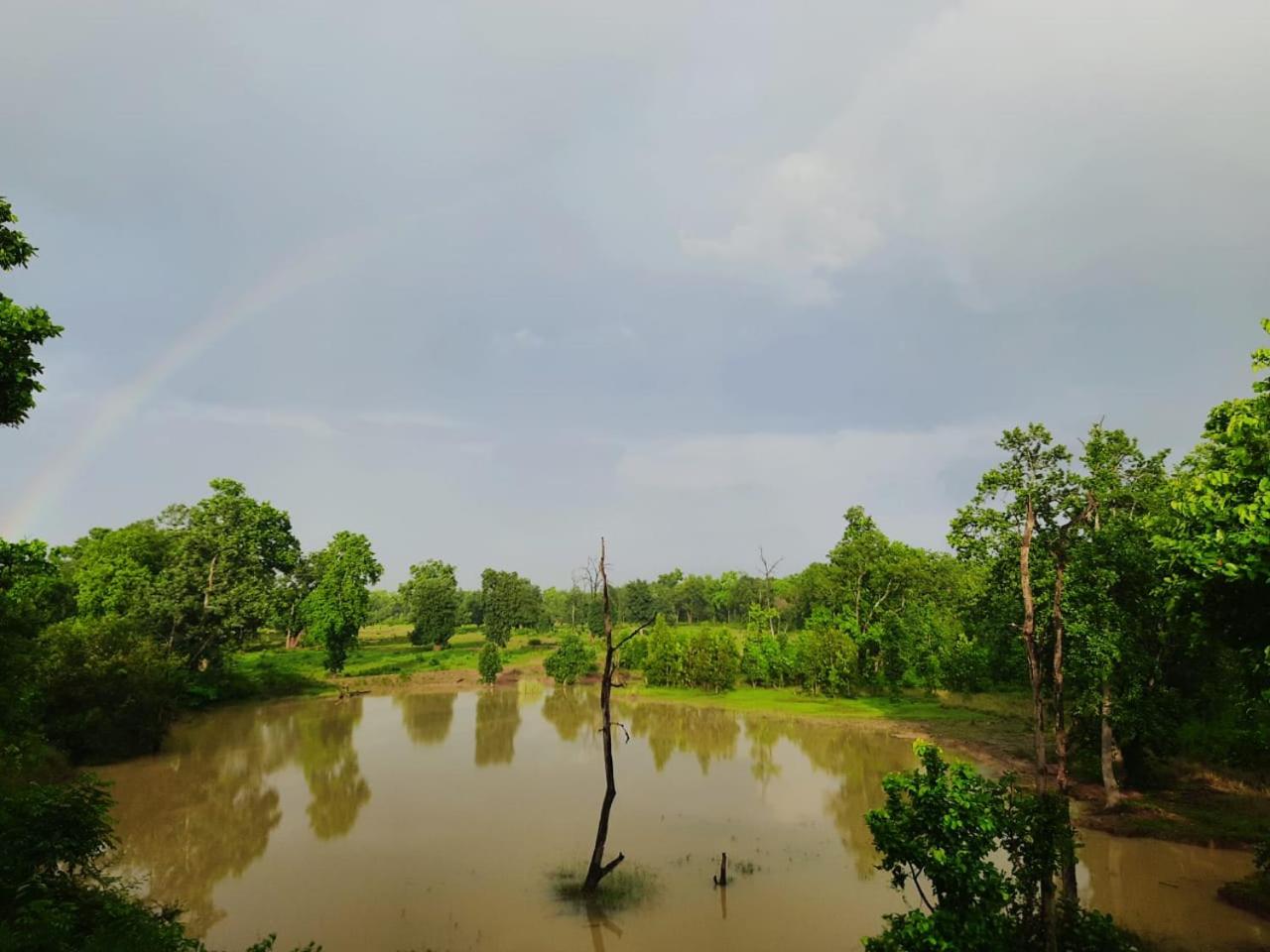 Emerald Tiger Retreat