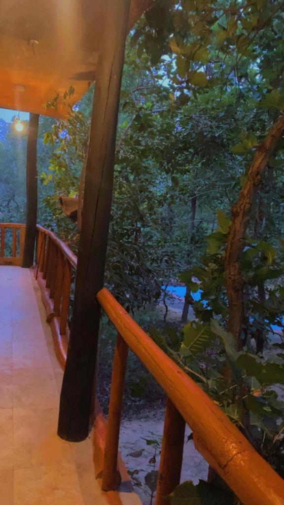 Emerald Tiger Retreat