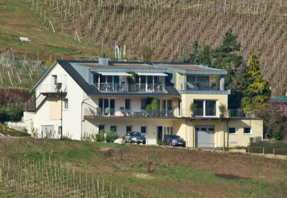 Ferienhaus Panorama Mosel