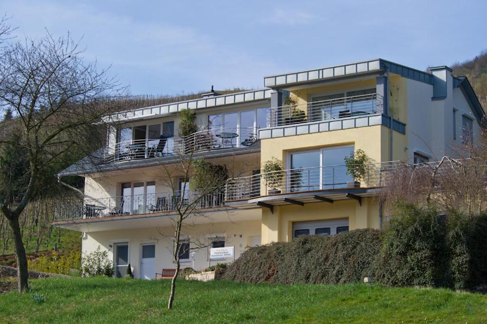 Ferienhaus Panorama Mosel