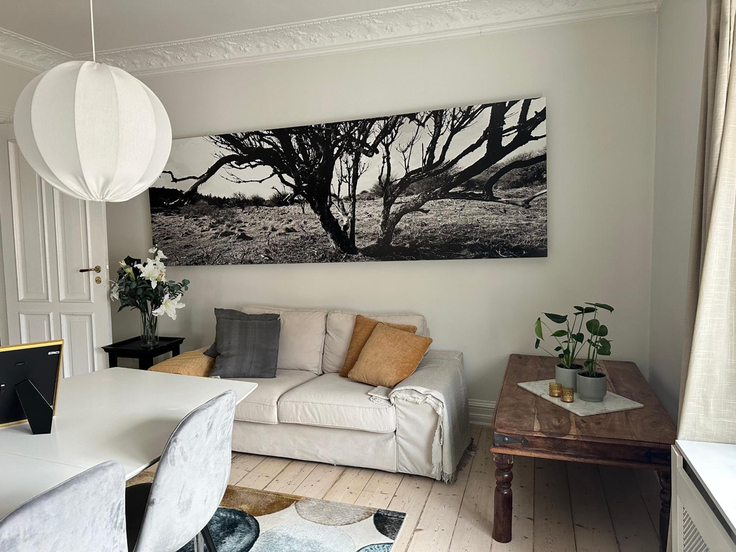 Boutique-Aalborg-Free parking - Citycenter