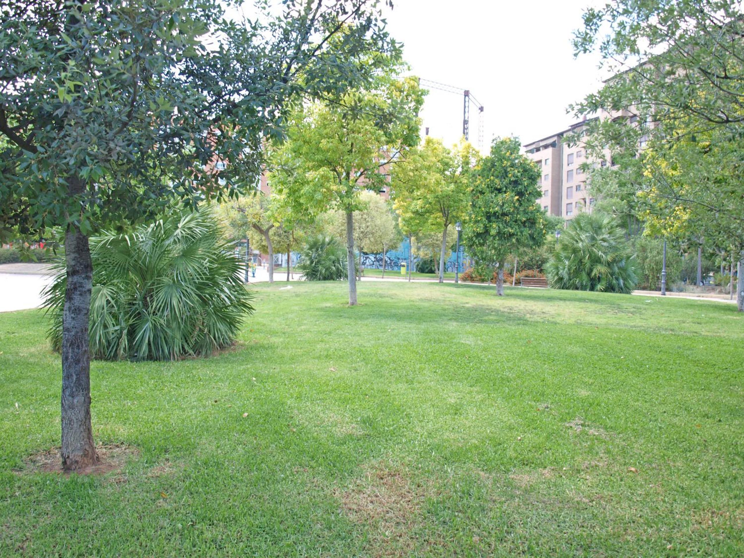 Photo 31