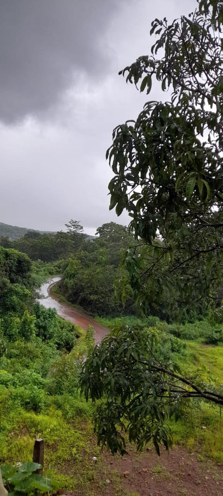 Om Gajanan Farms view 3