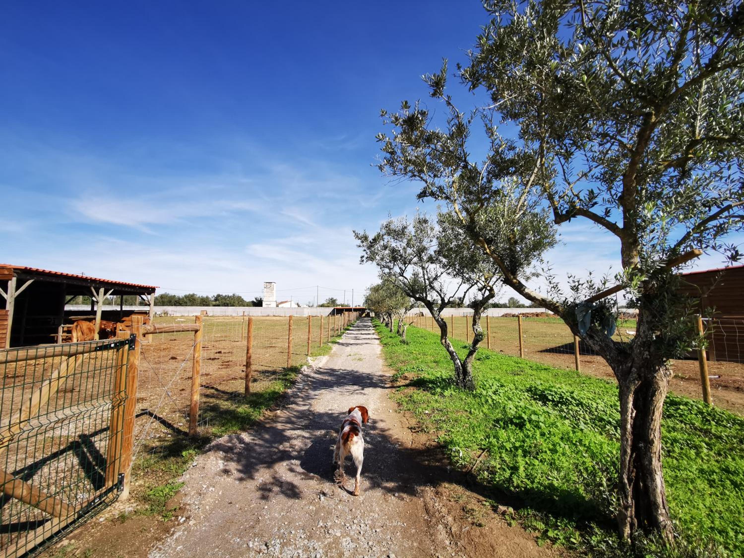 Quinta do Louredo - Évora