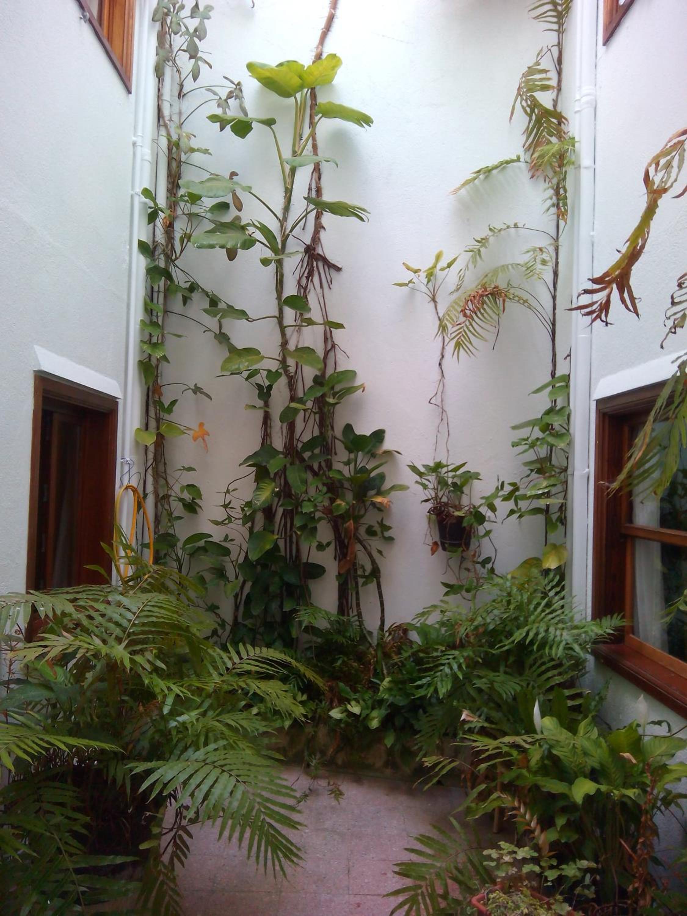 Photo 26