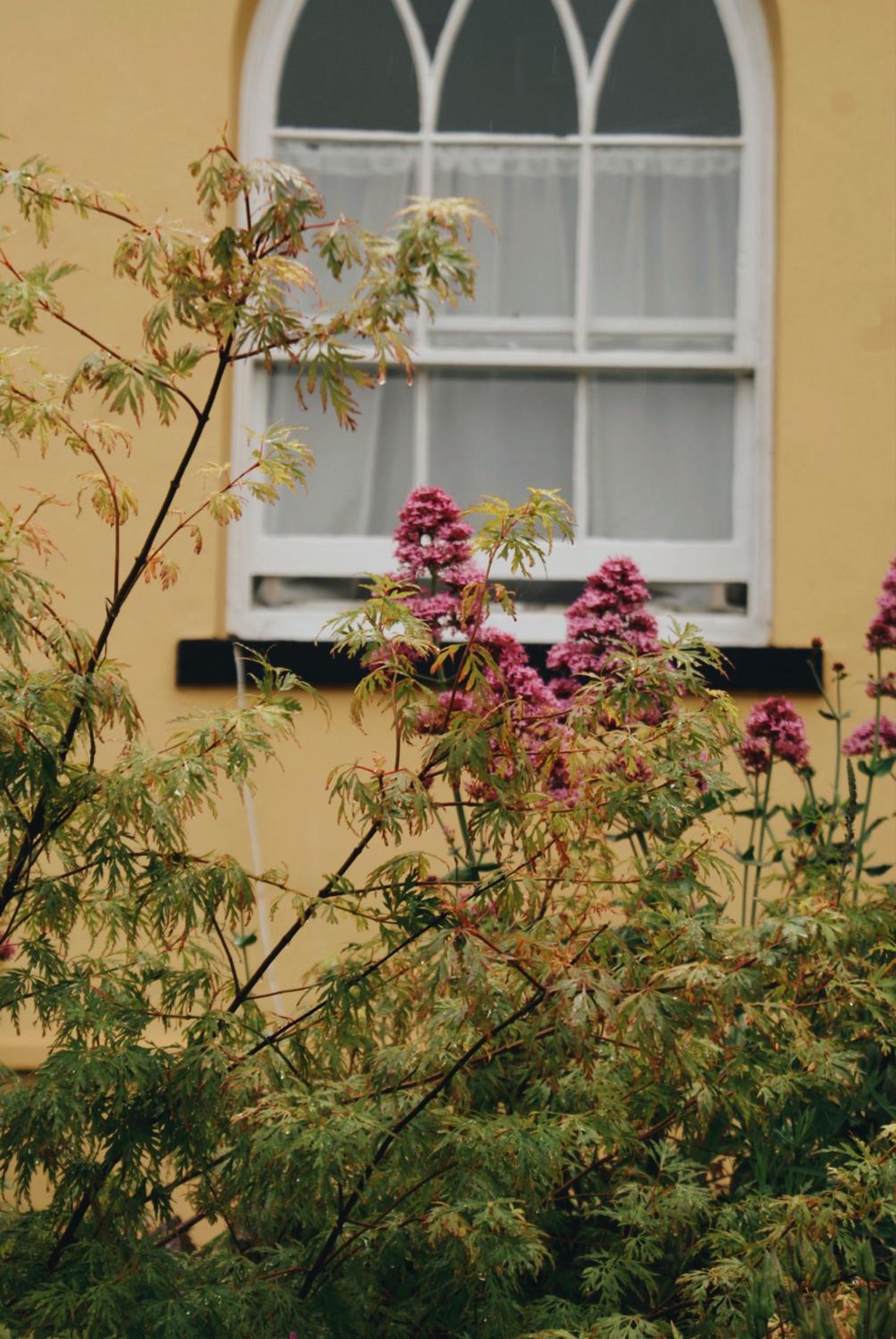 Ranscombe House, photo 22