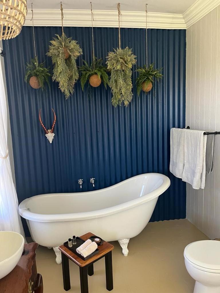 Motubane Guest Farm