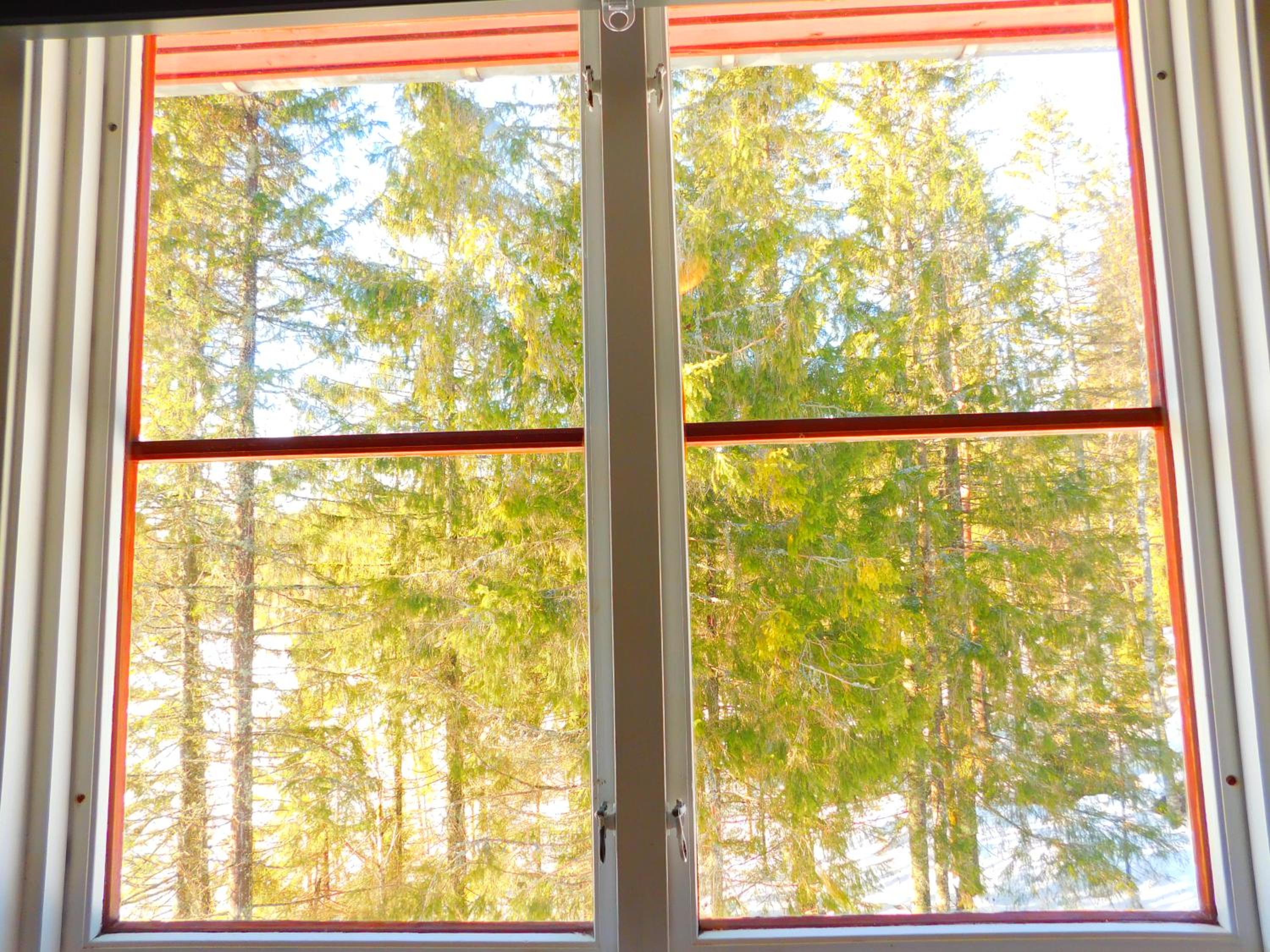 Skogsro Forest Hostel