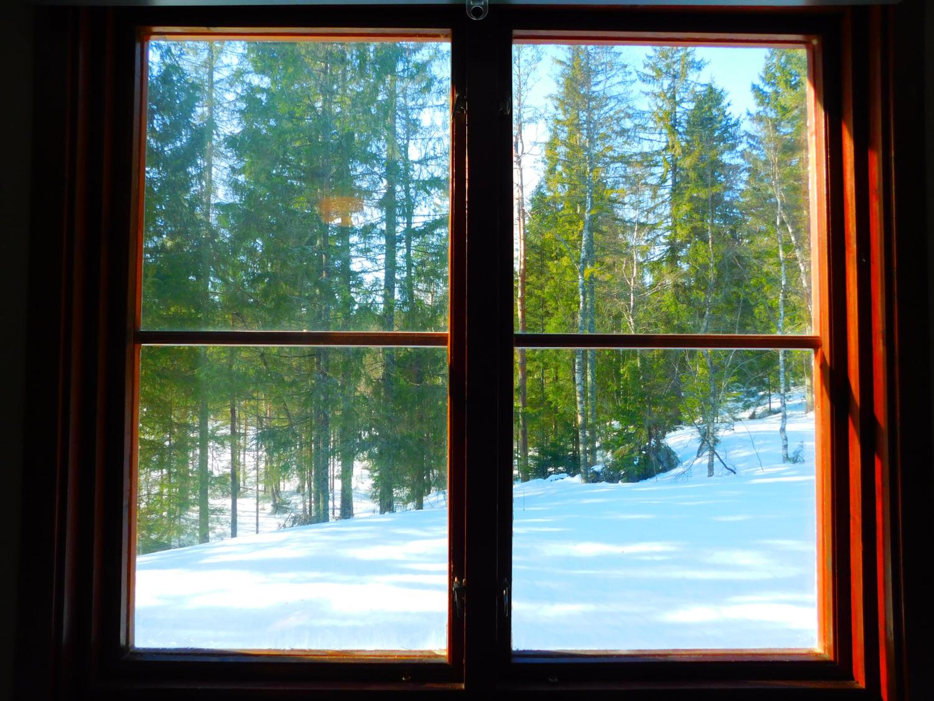 Skogsro Forest Hostel