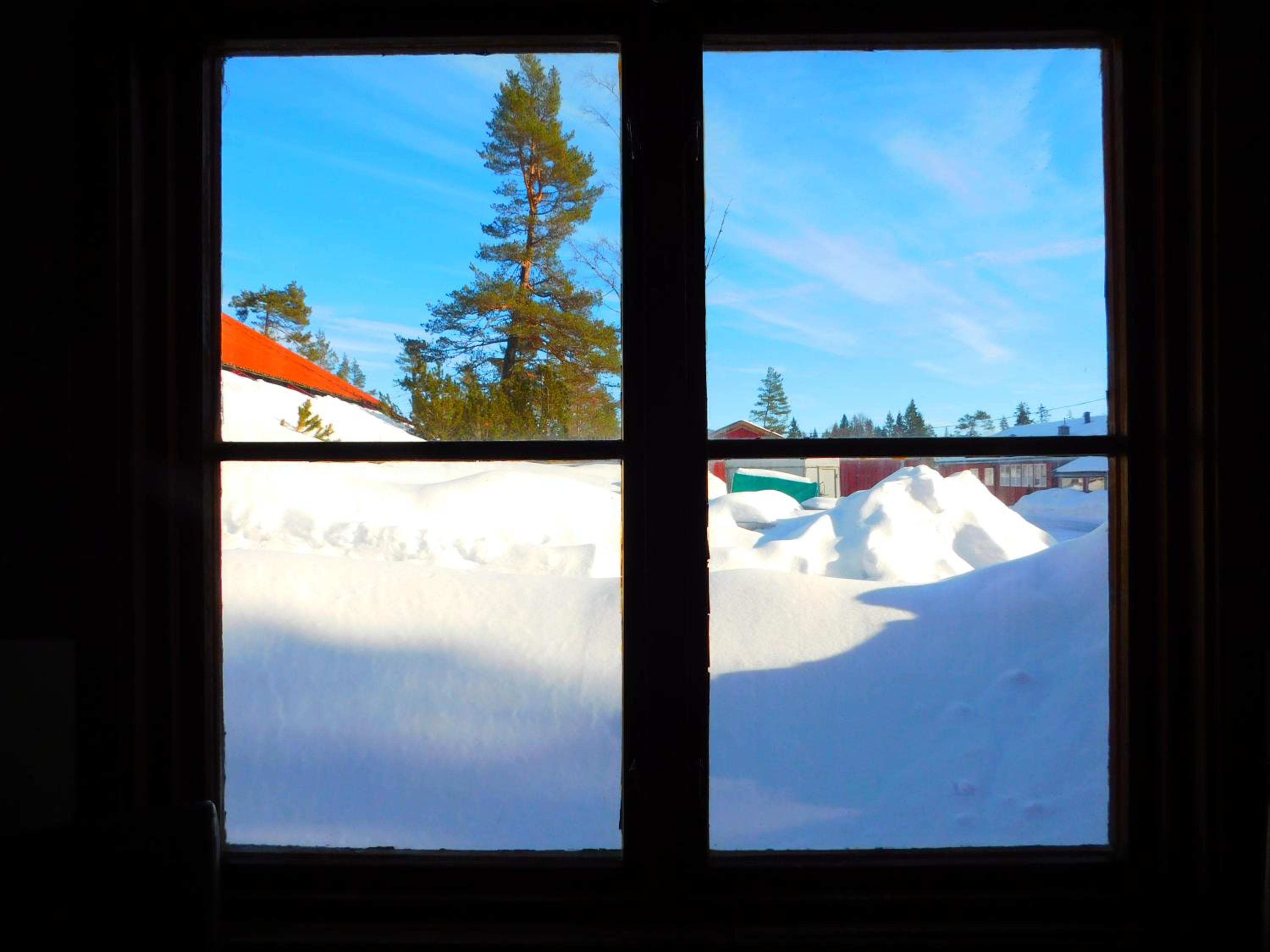 Skogsro Forest Hostel
