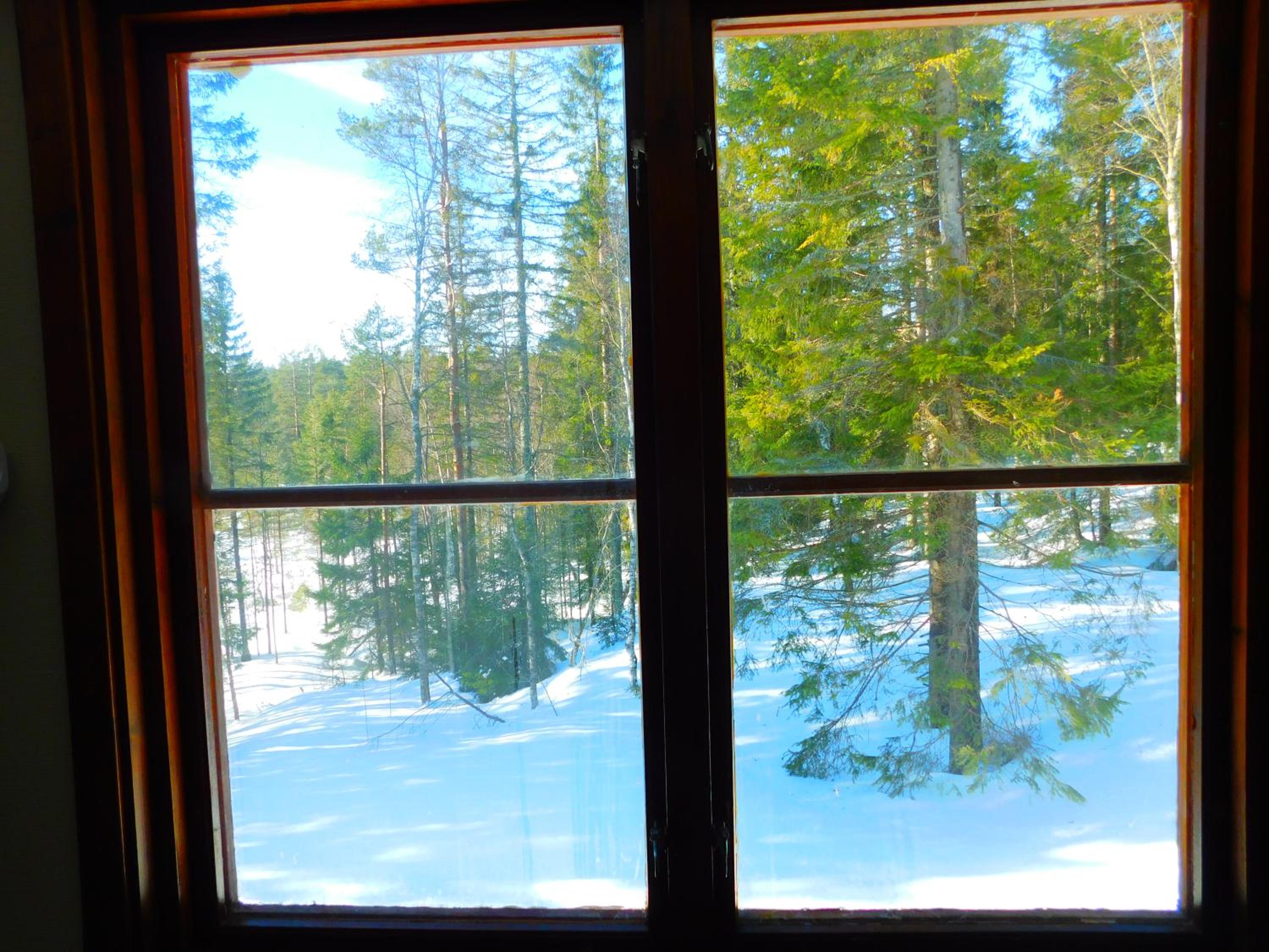 Skogsro Forest Hostel
