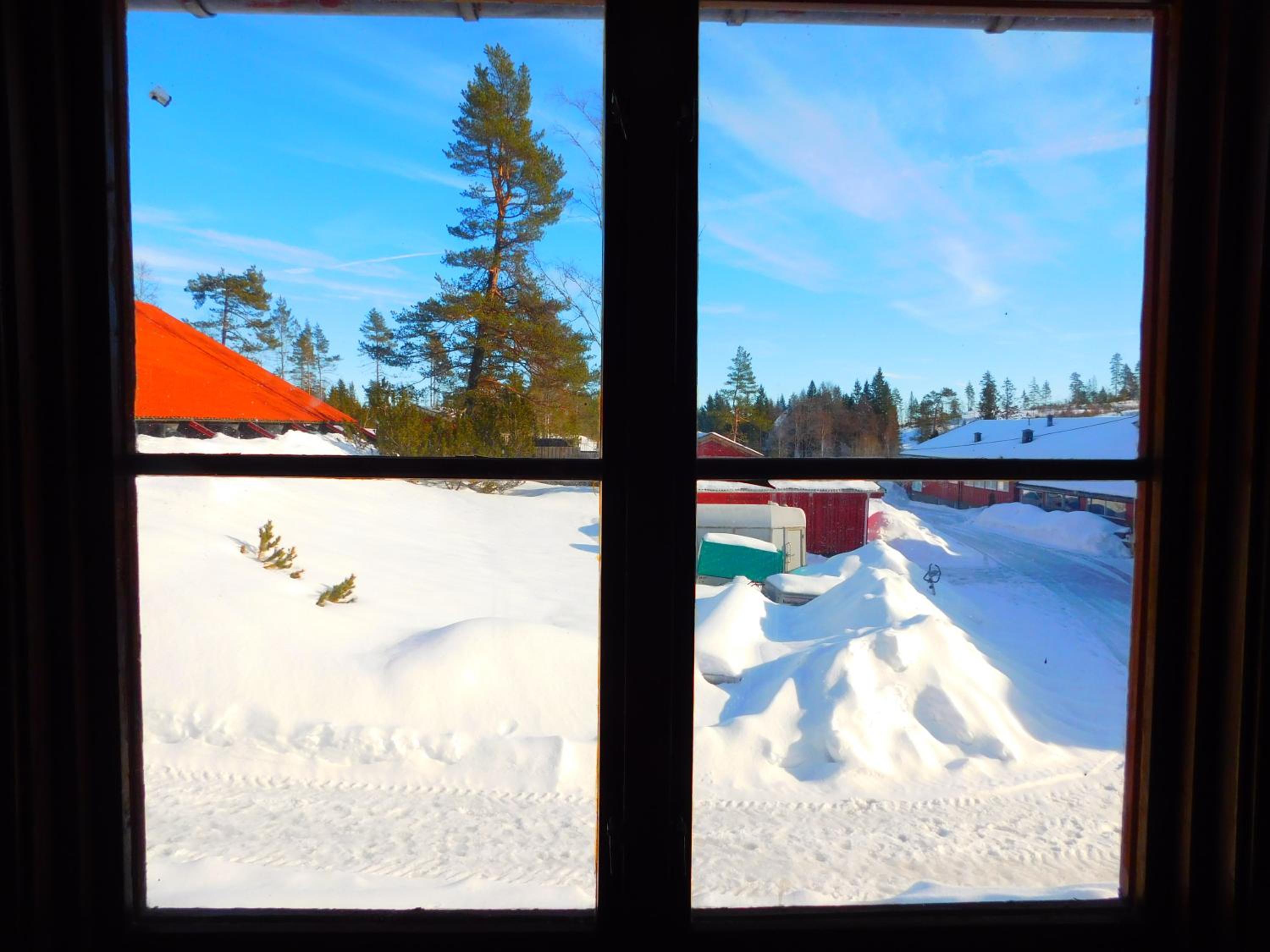 Skogsro Forest Hostel