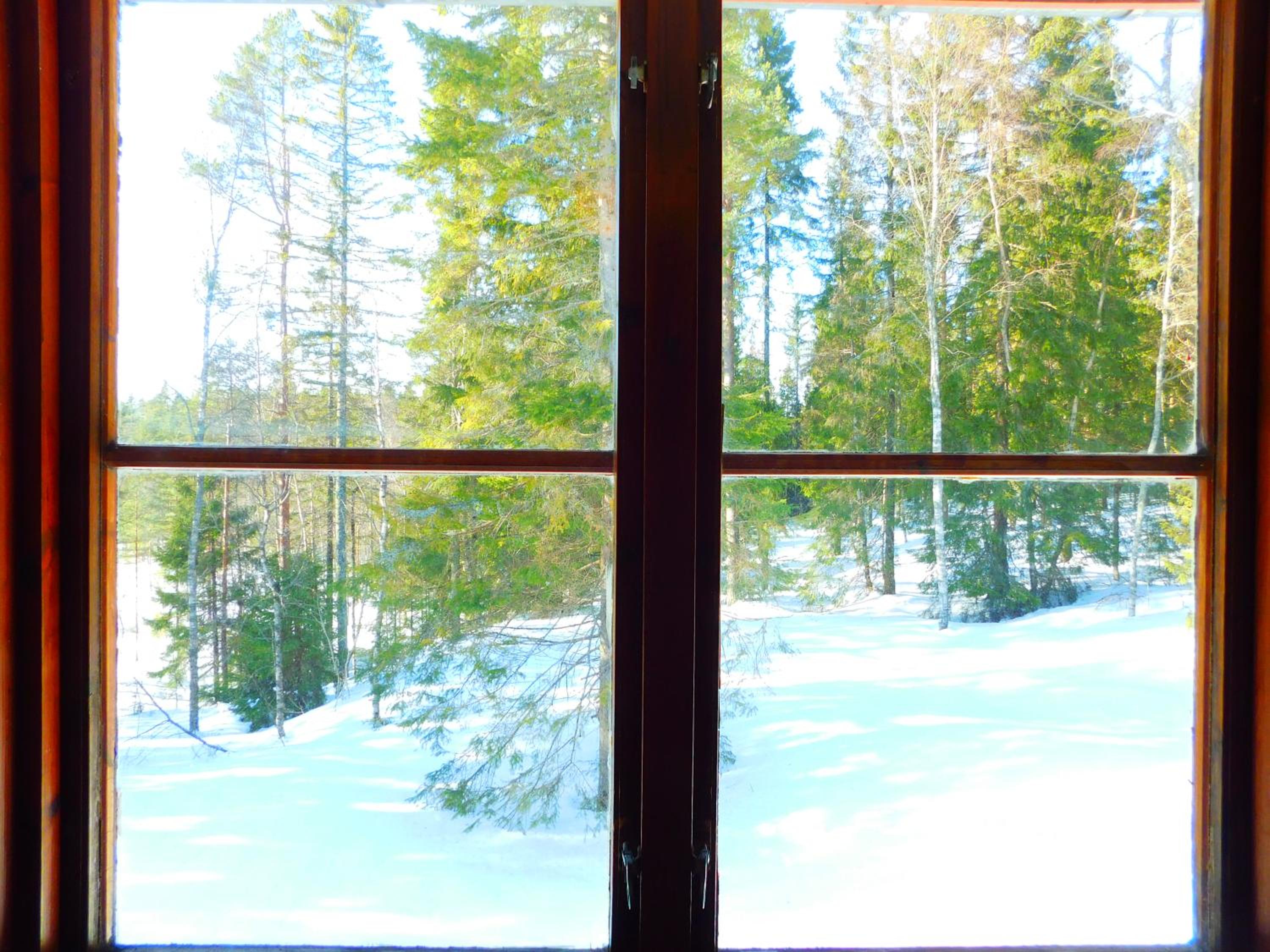 Skogsro Forest Hostel