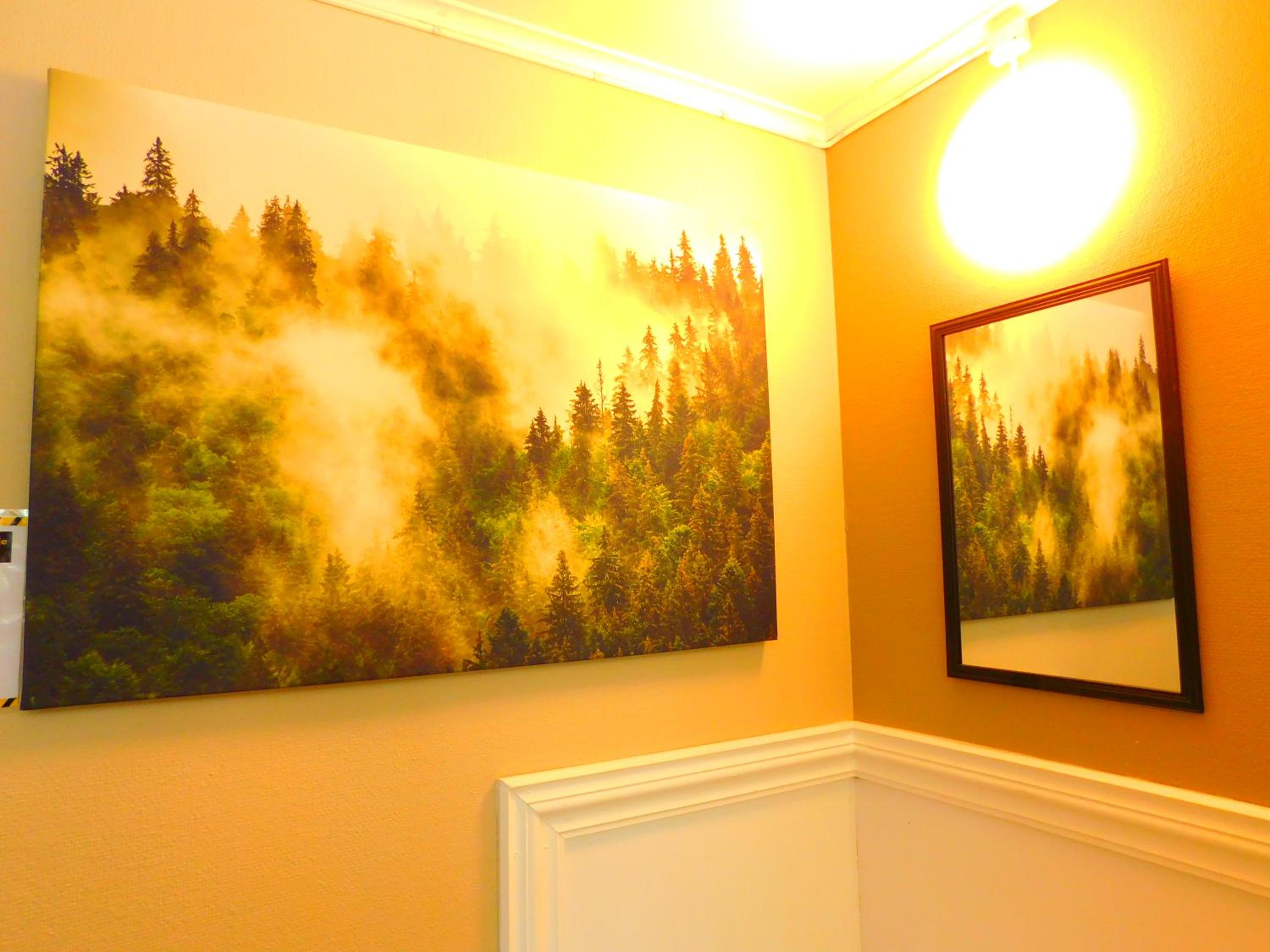 Skogsro Forest Hostel