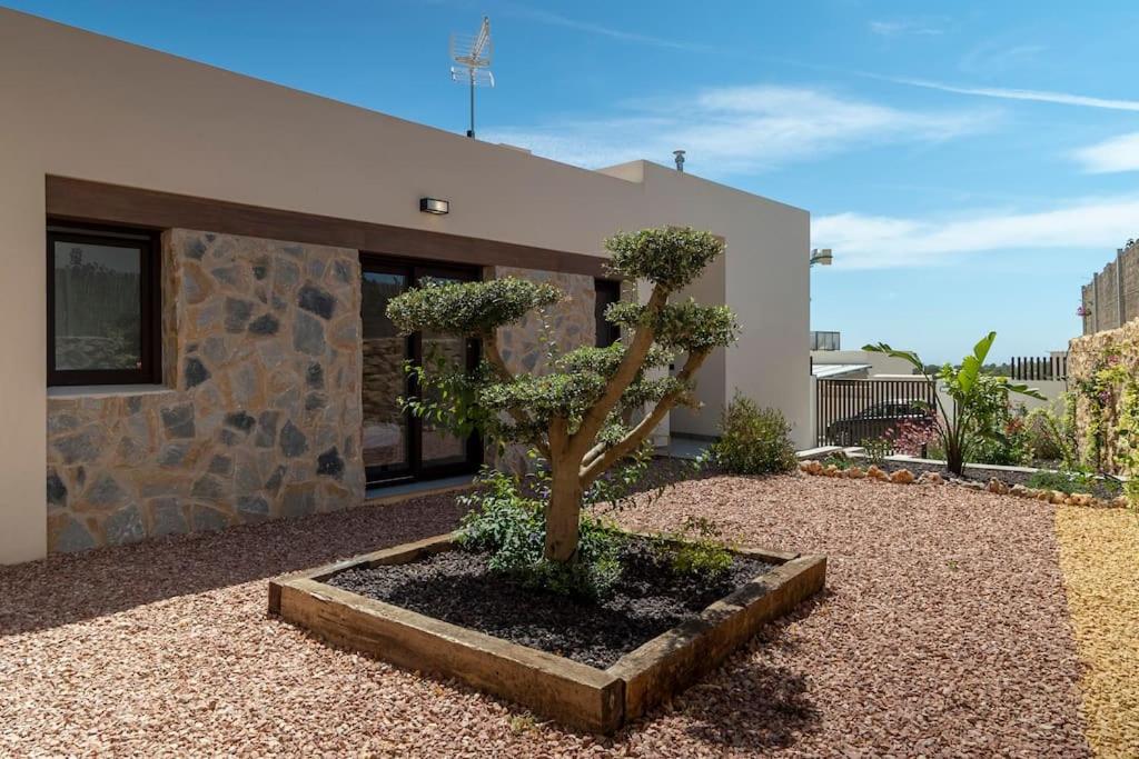 Maison neuve avec piscine