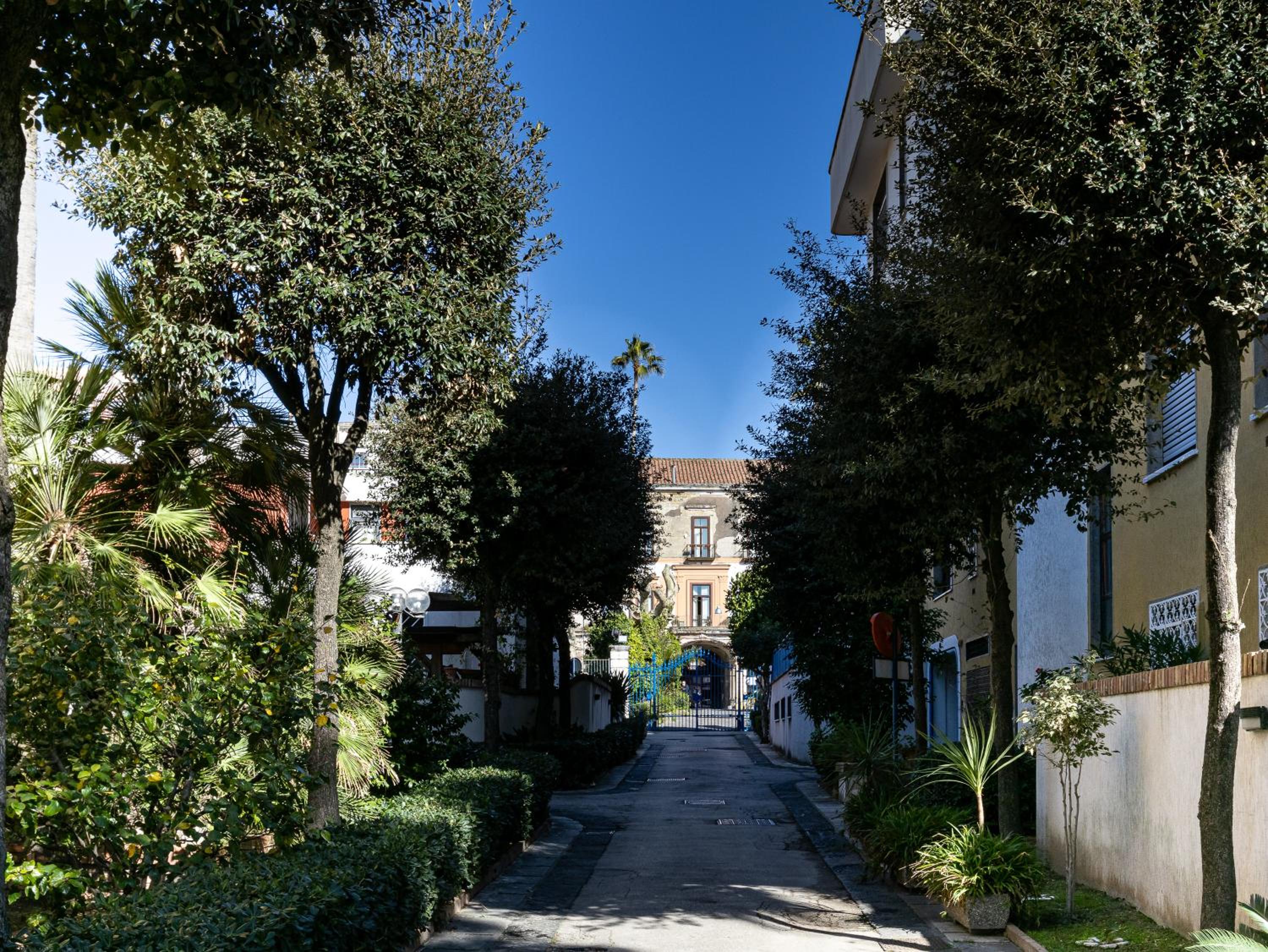 Photo 37