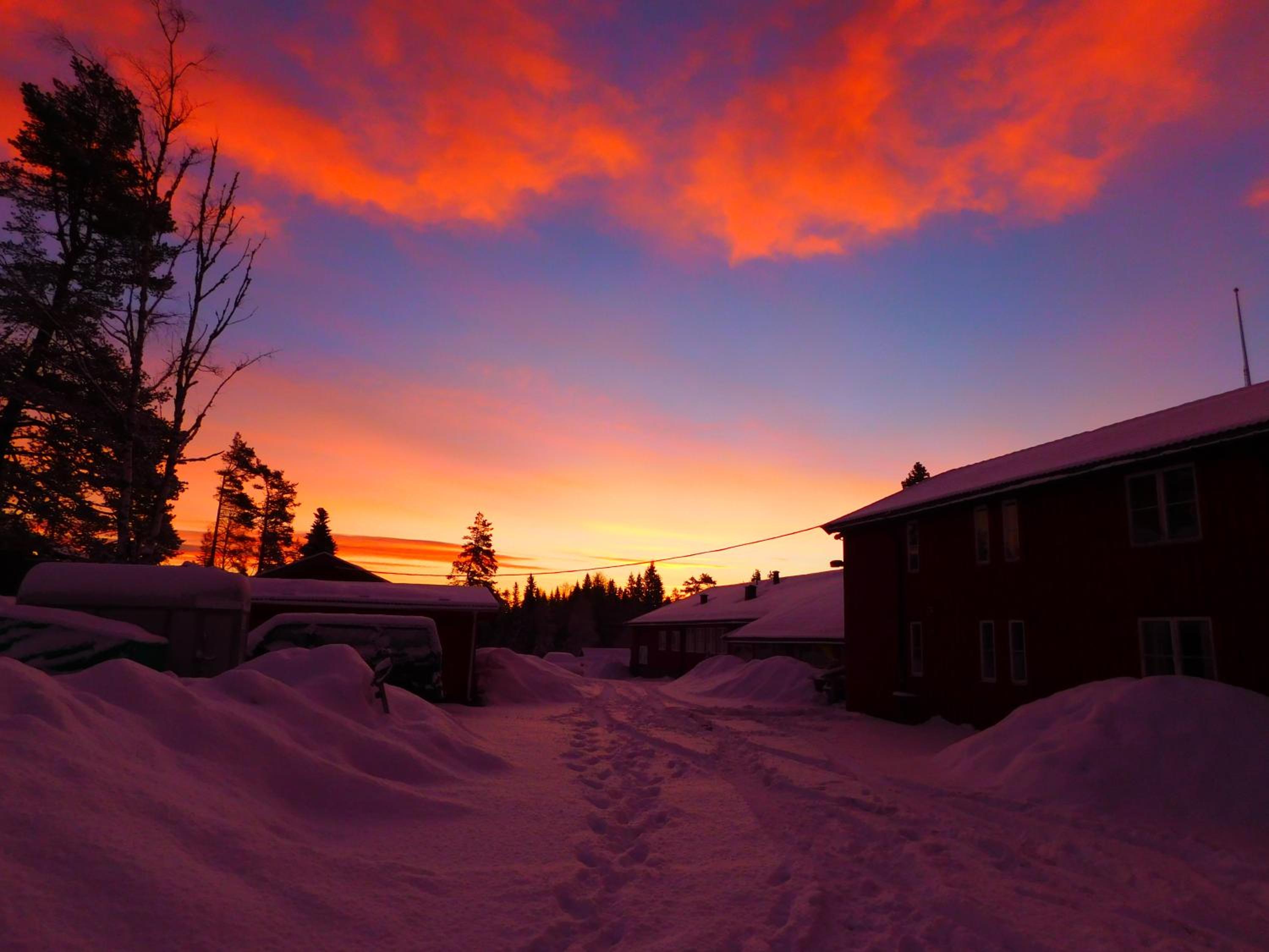 Skogsro Forest Hostel