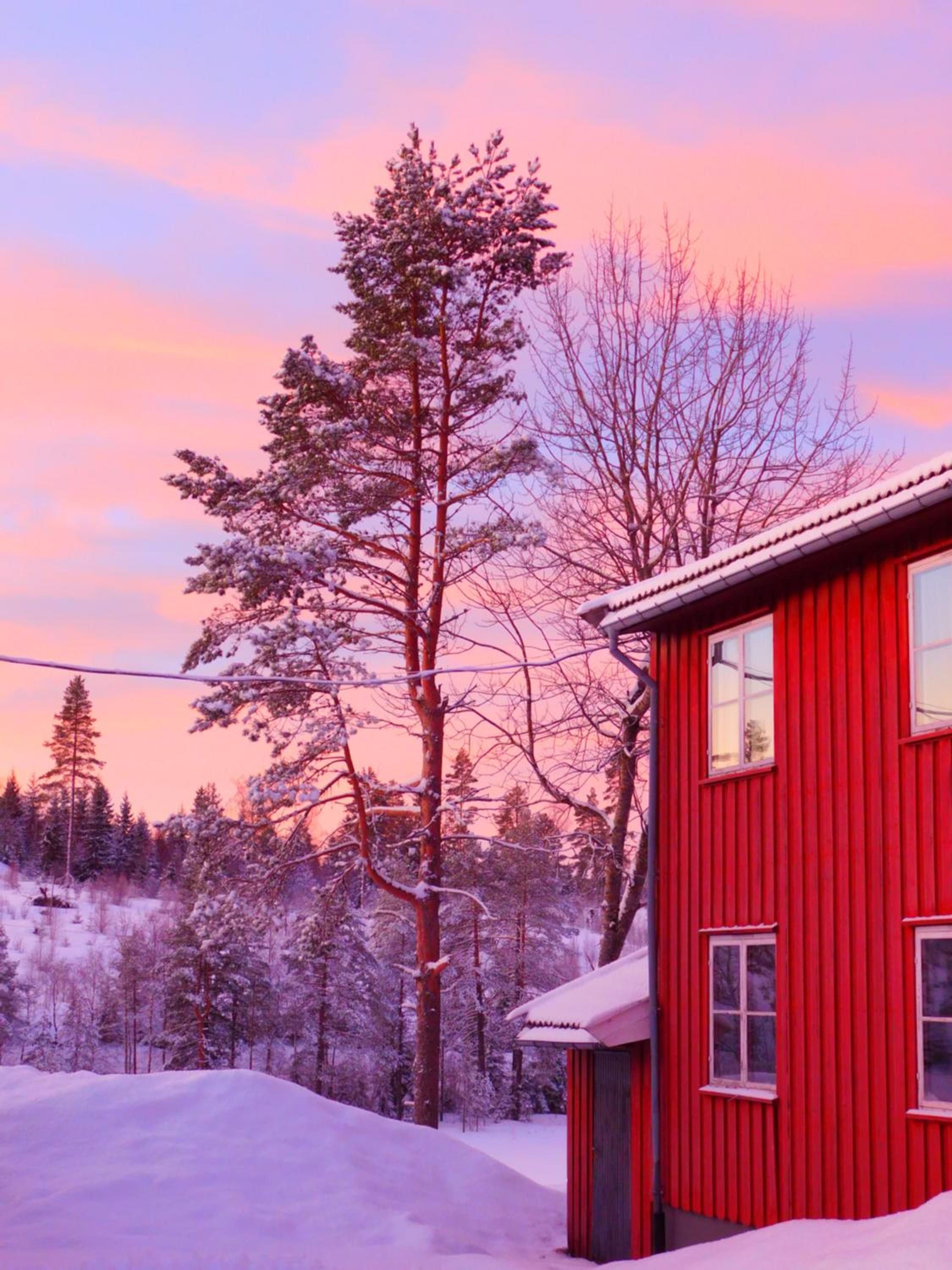 Skogsro Forest Hostel