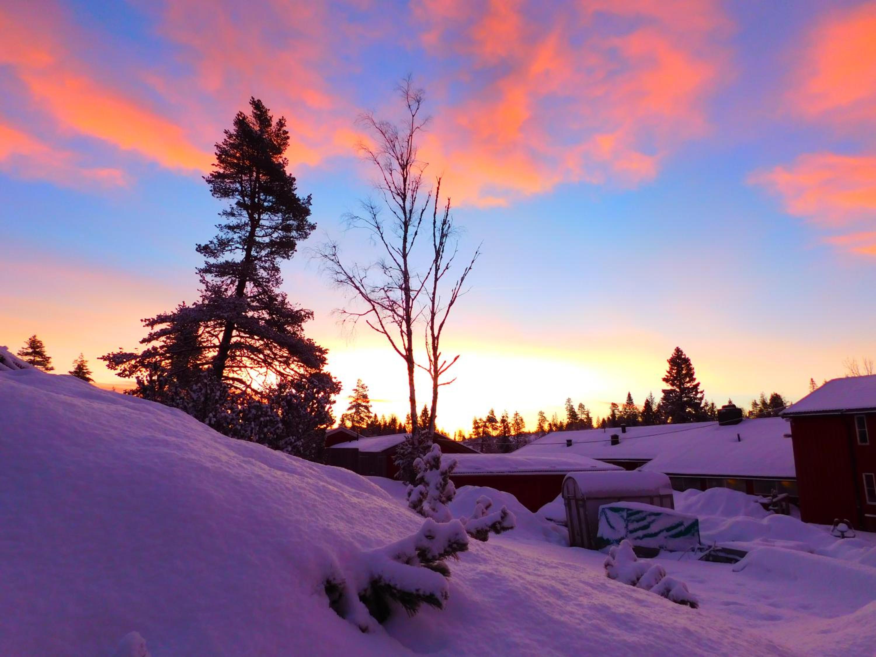 Skogsro Forest Hostel