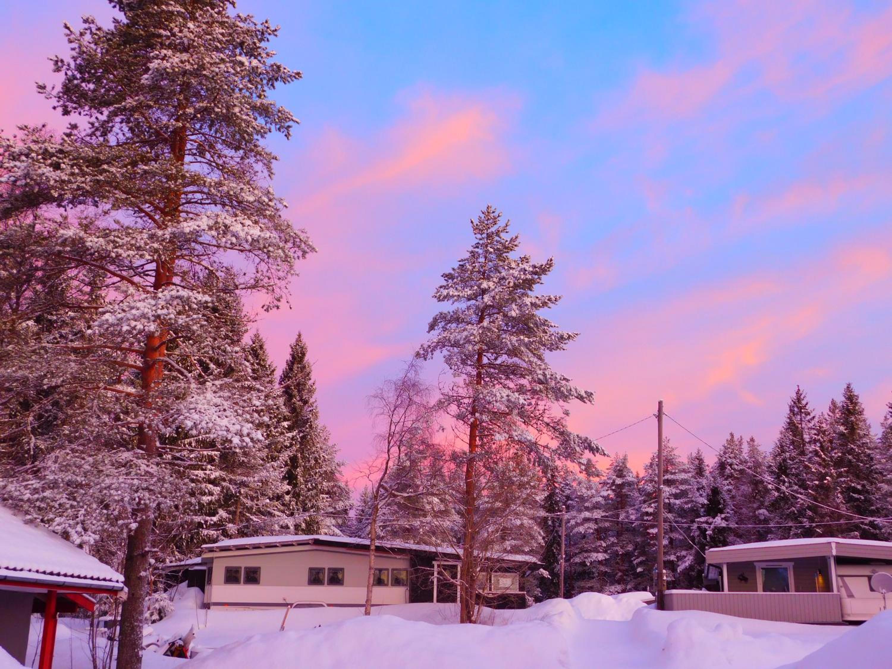 Skogsro Forest Hostel