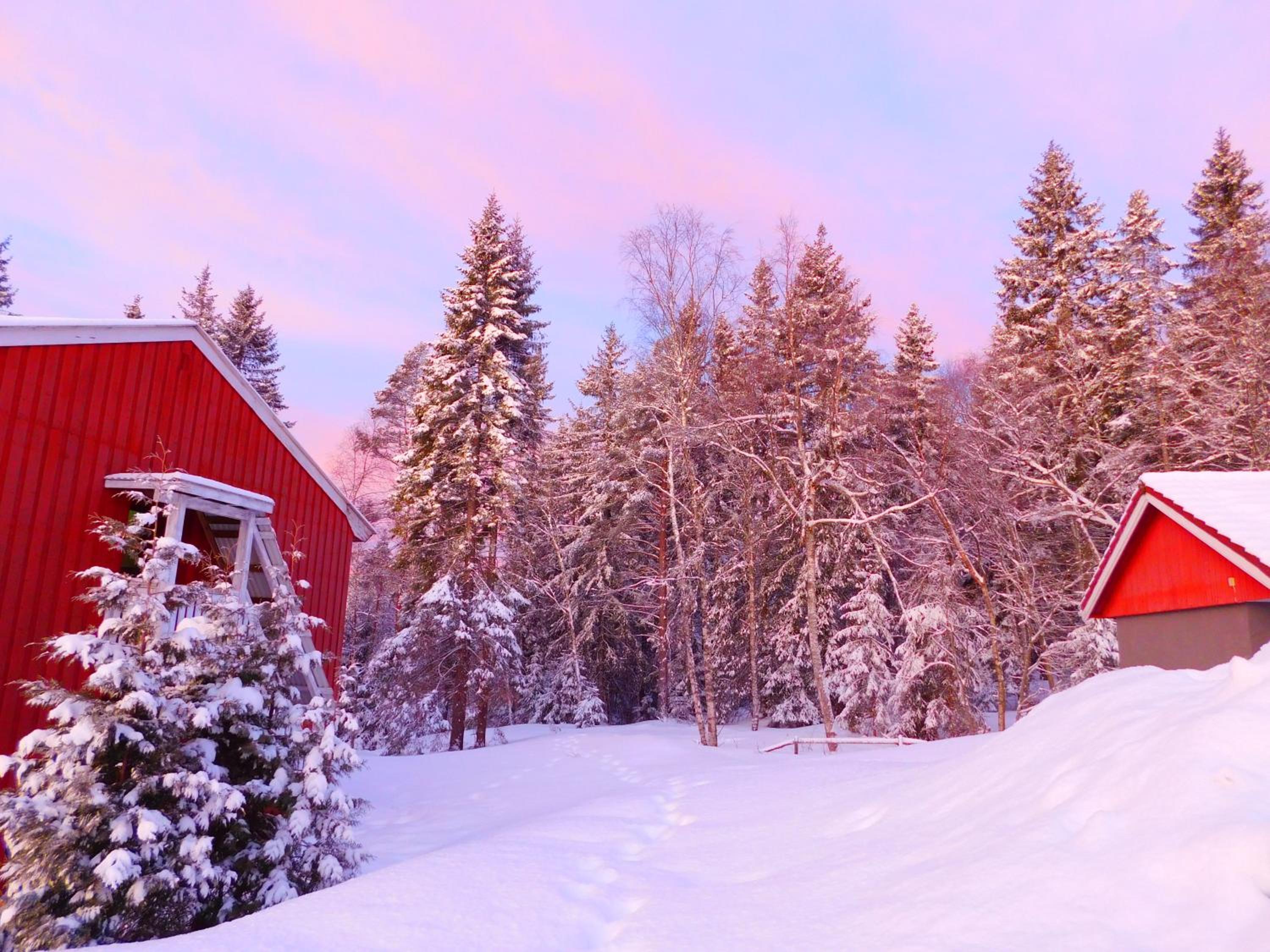 Skogsro Forest Hostel