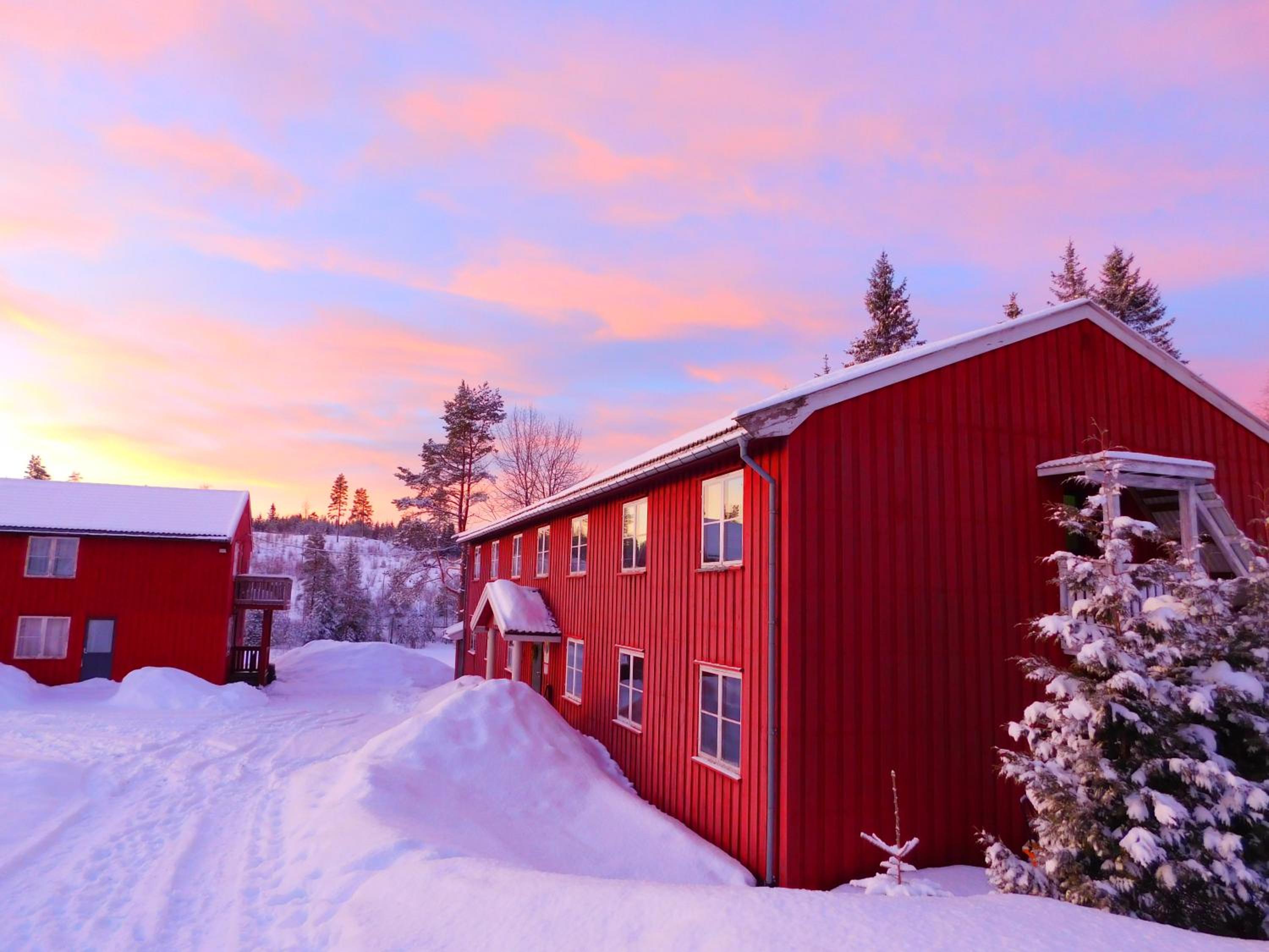 Skogsro Forest Hostel