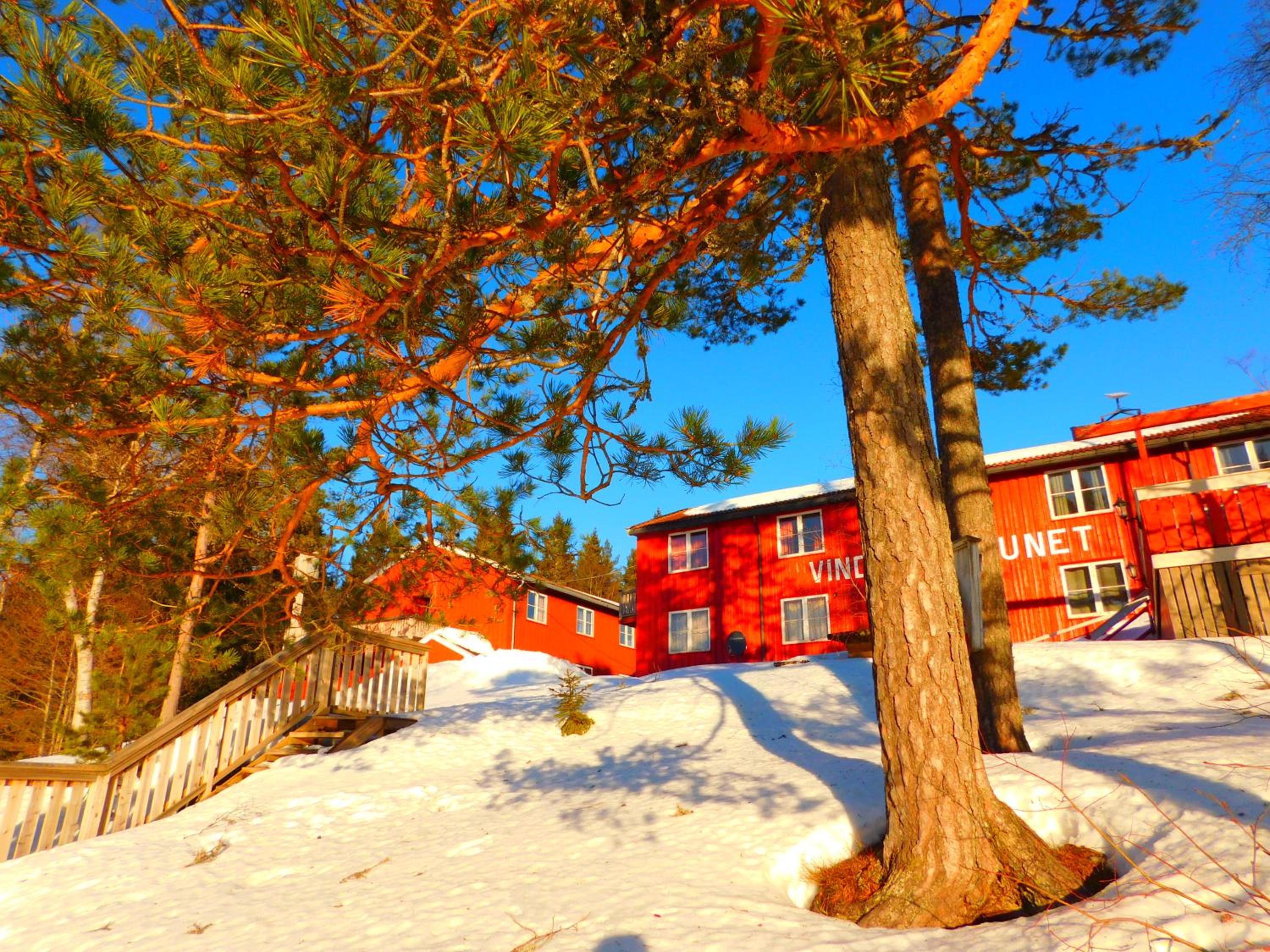Skogsro Forest Hostel