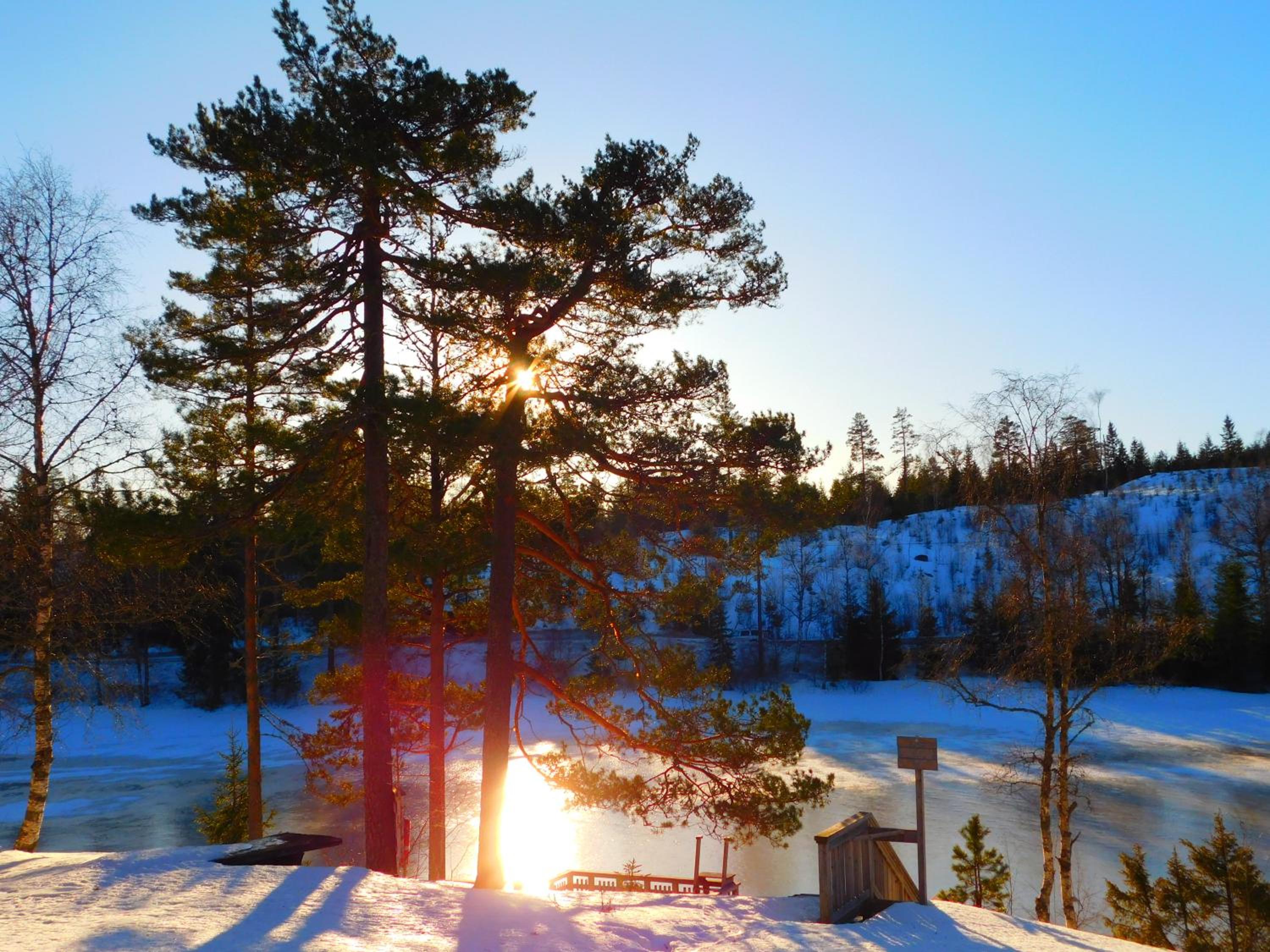 Skogsro Forest Hostel