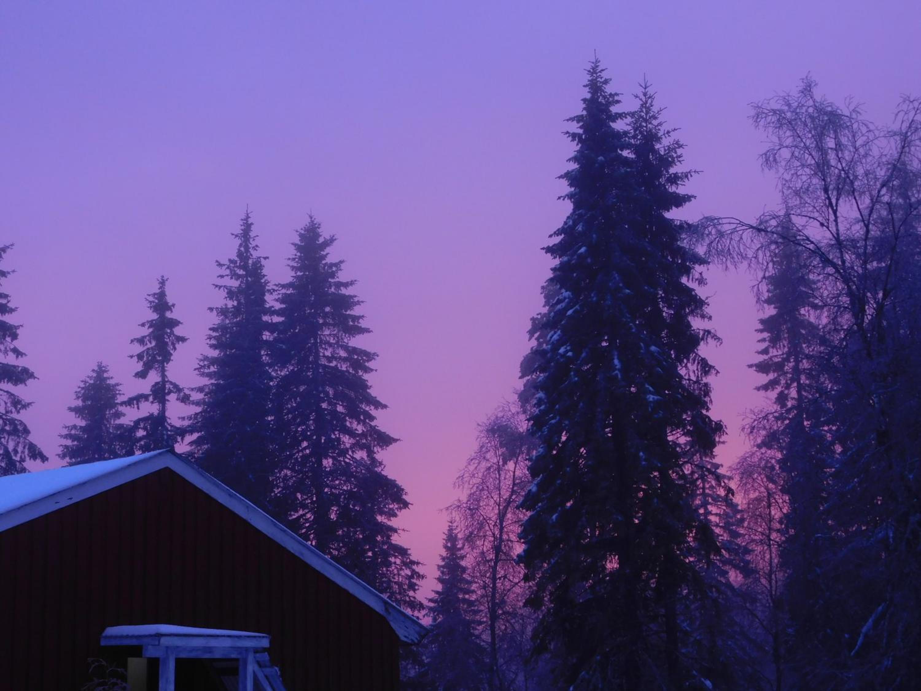 Skogsro Forest Hostel
