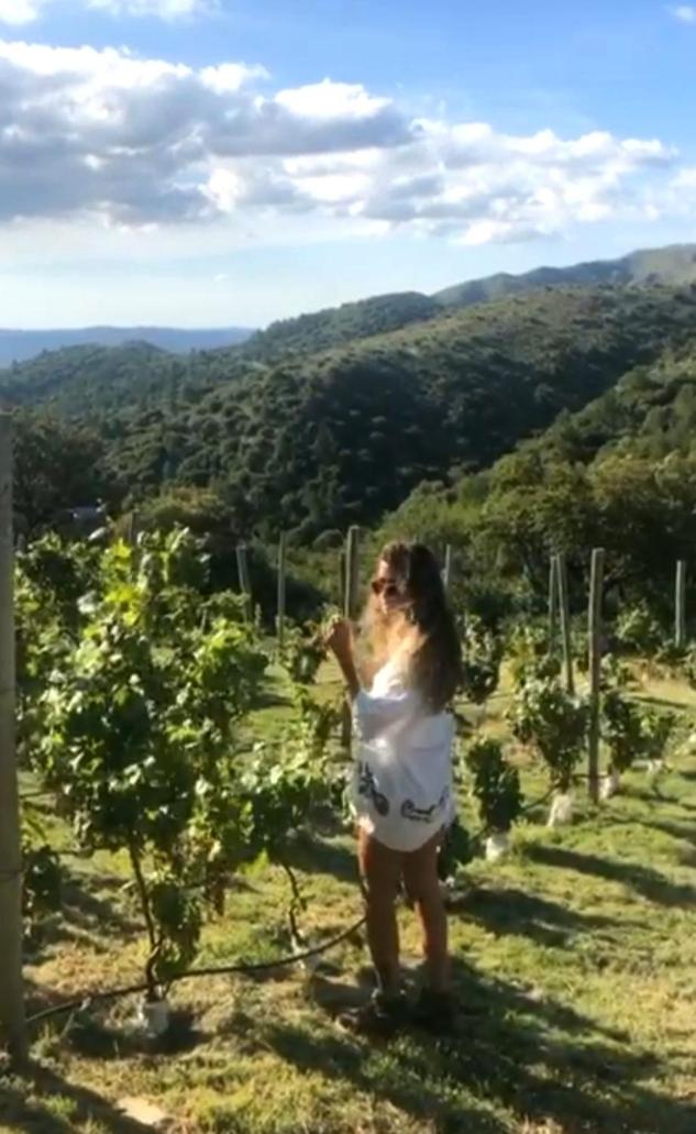 Establecimiento La Soleada suites de campo