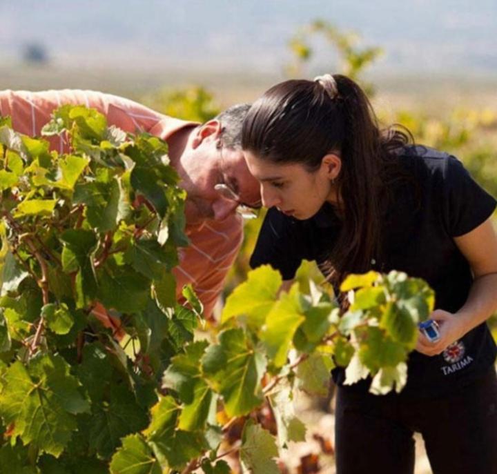 Establecimiento La Soleada suites de campo