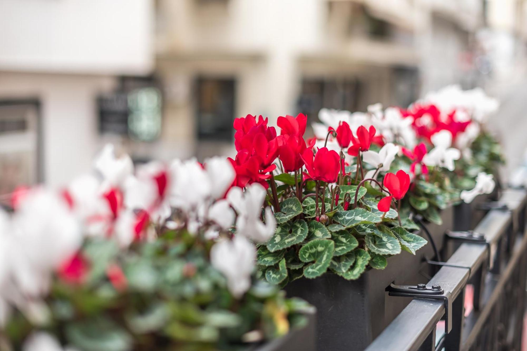 The Rare Luxury Gem in Kolonaki Sq - near Syntagma