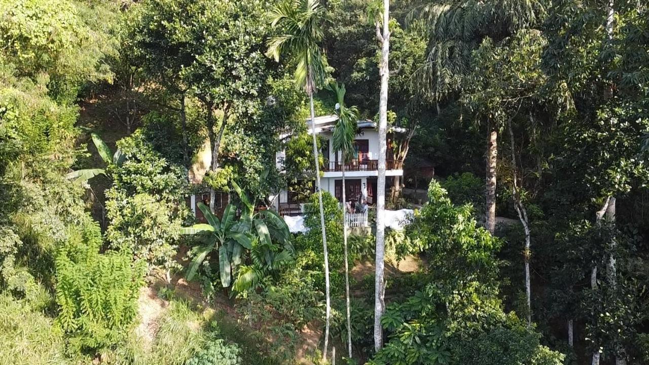 Villa25 Homestay free pick up from the centre view 4