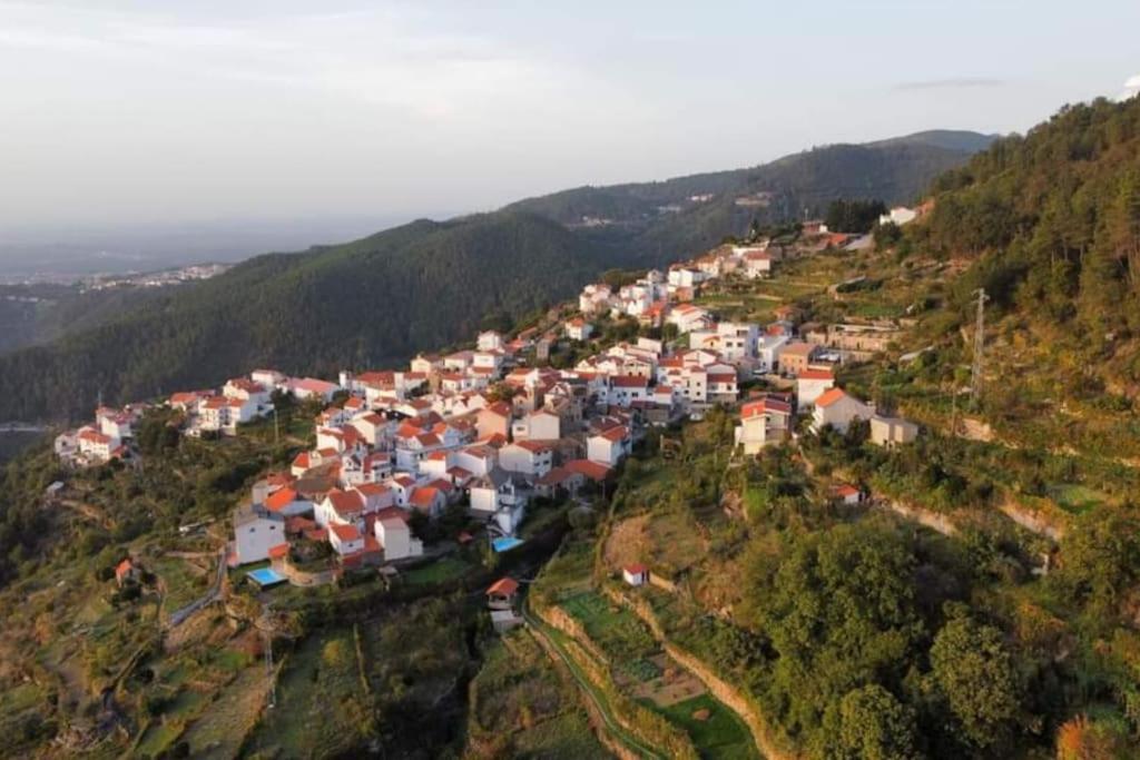 Casa da Calçada - Piso 2 view 4