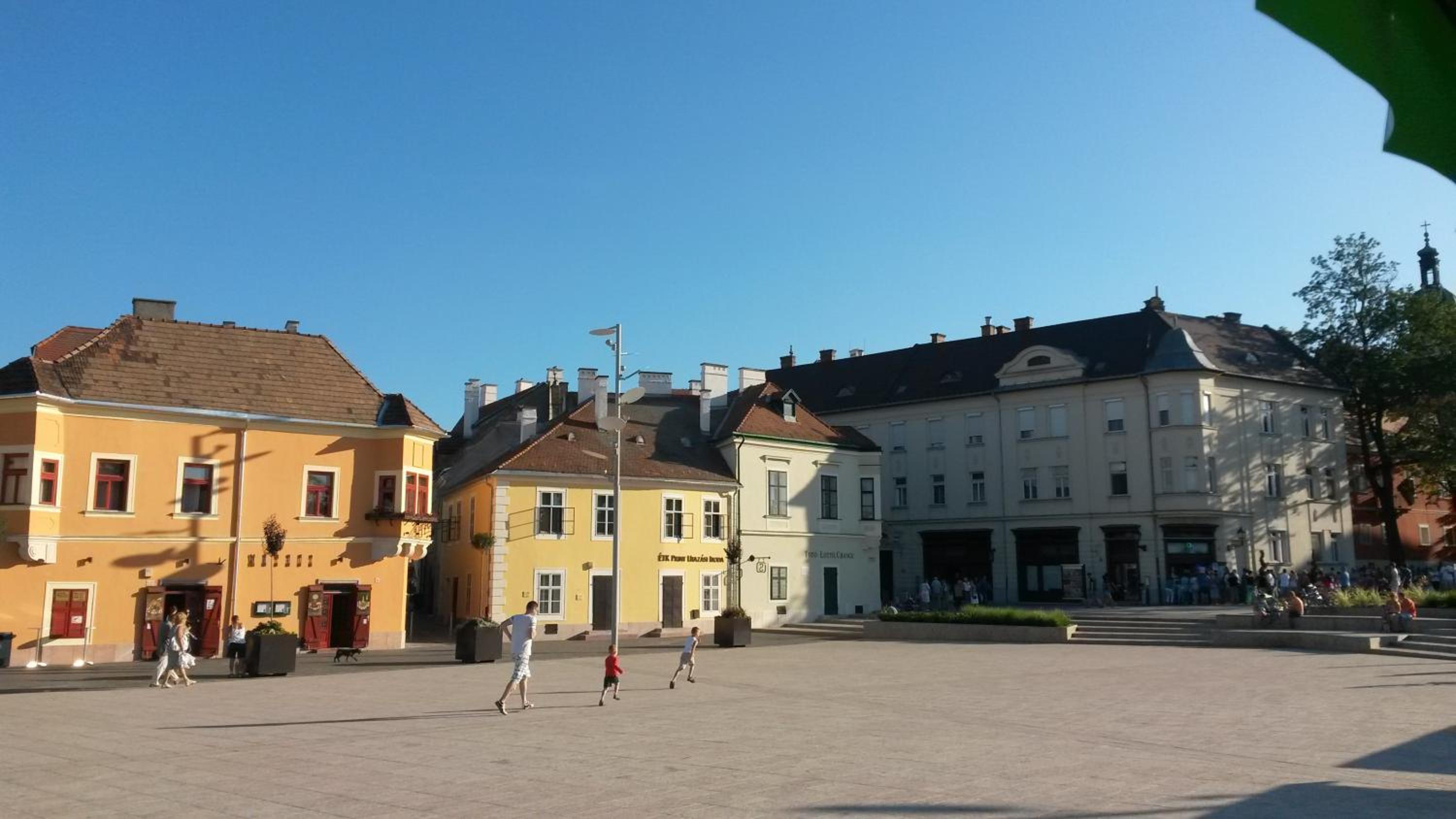 Photo 41