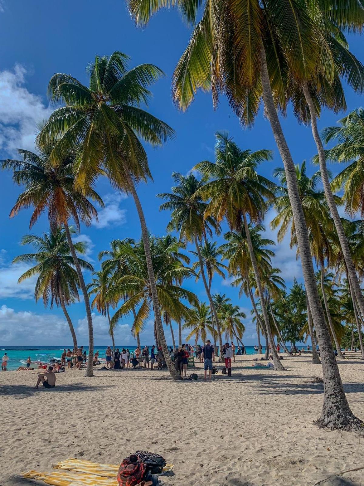 Dominicus Castillo Paradise