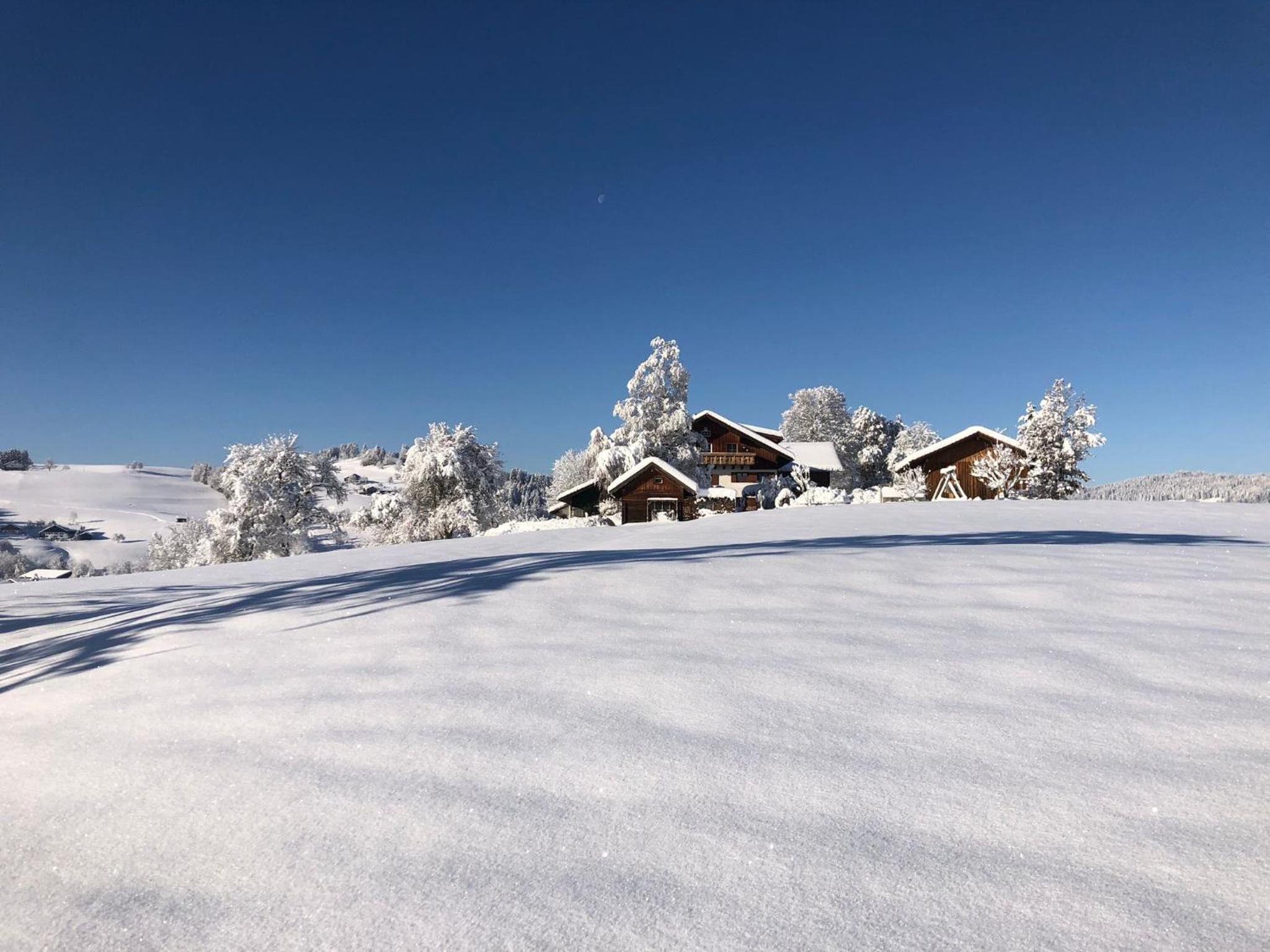 Ferienwohnung Aigisblick mit Pool und Sauna, direkt am Skihang