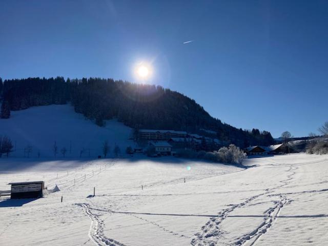 Ferienwohnung Aigisblick mit Pool und Sauna, direkt am Skihang