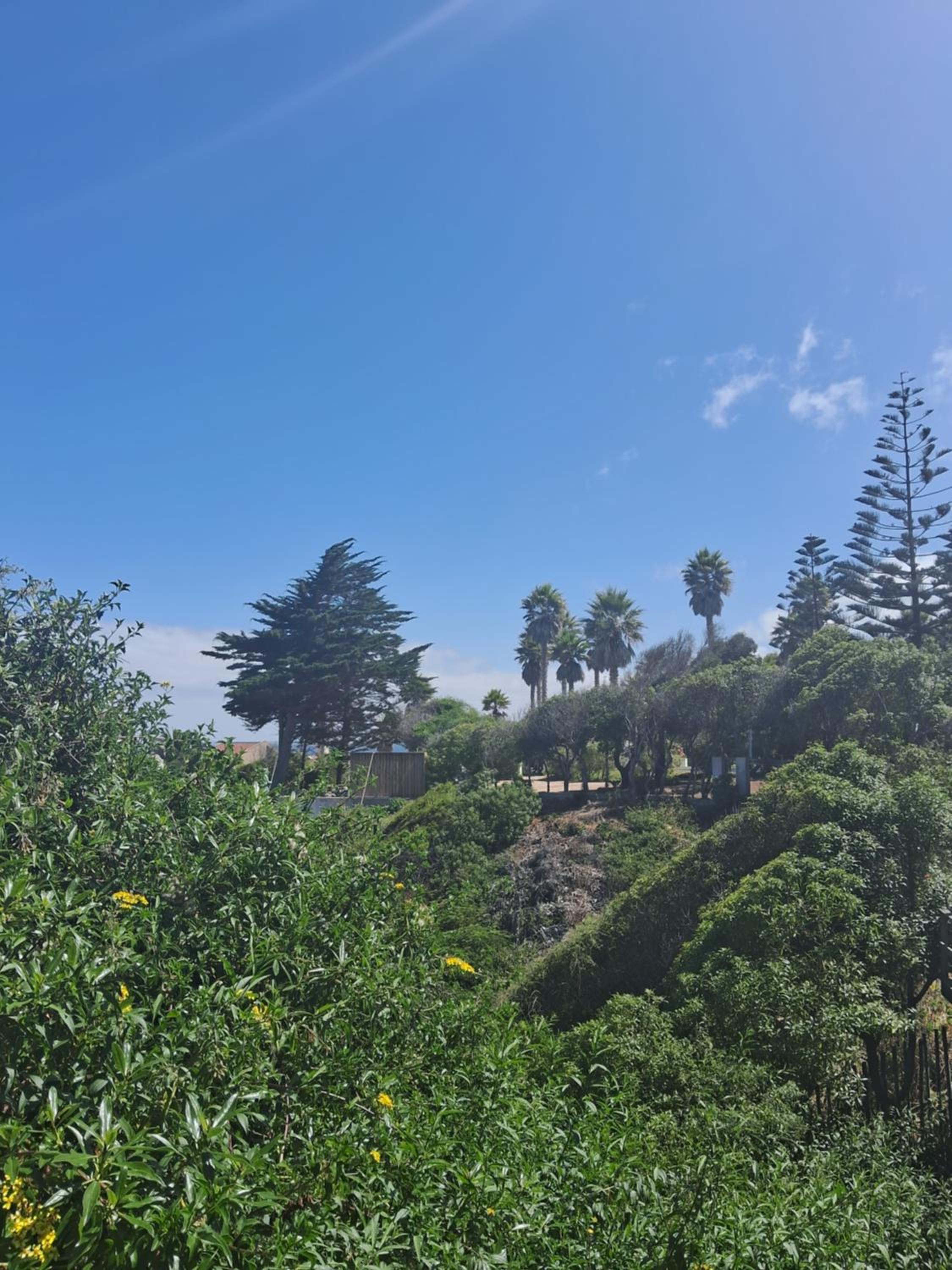 La mejor vista de todas
